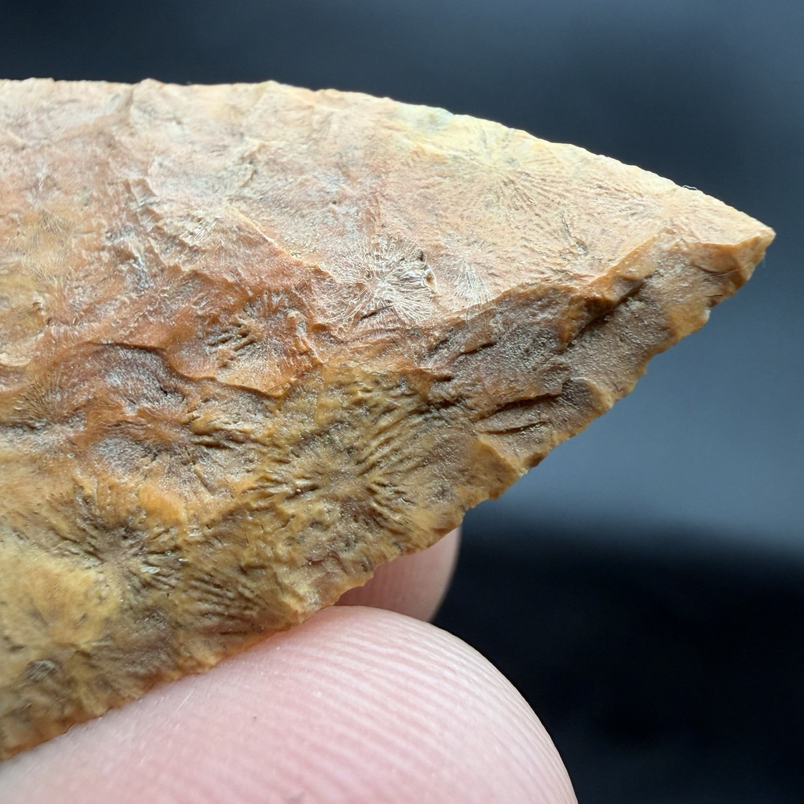 Indian Arrowhead Central Florida Very Fine Collector Grade 1.95” Indian Arrowhead Central Florida Very Fine Collector Grade 1.95”