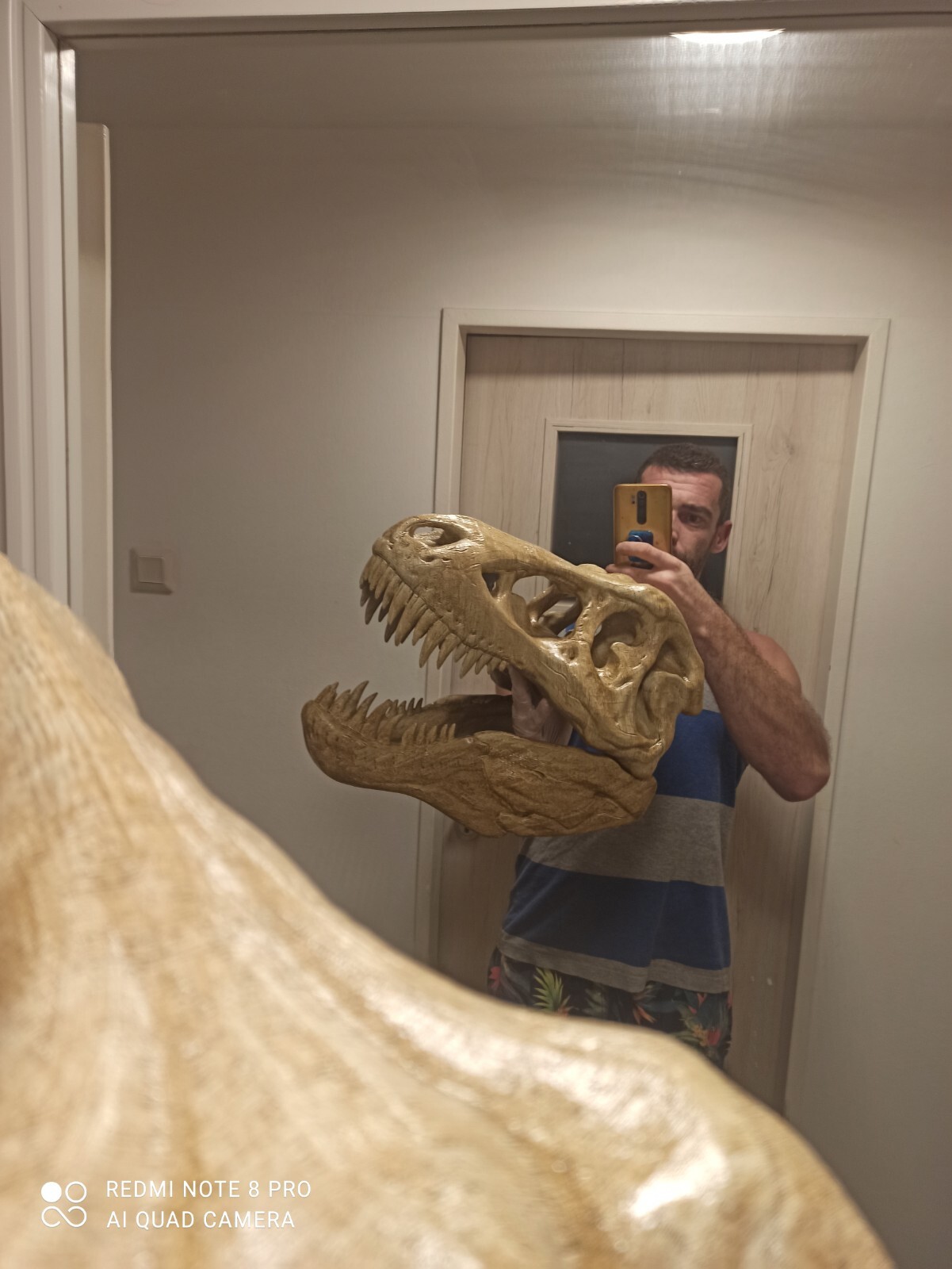 T-Rex skull replica very big, Tyrannosaurus rex skull fossil, cheapest on ebay T-Rex skull replica very big, Tyrannosaurus rex skull fossil, cheapest on ebay