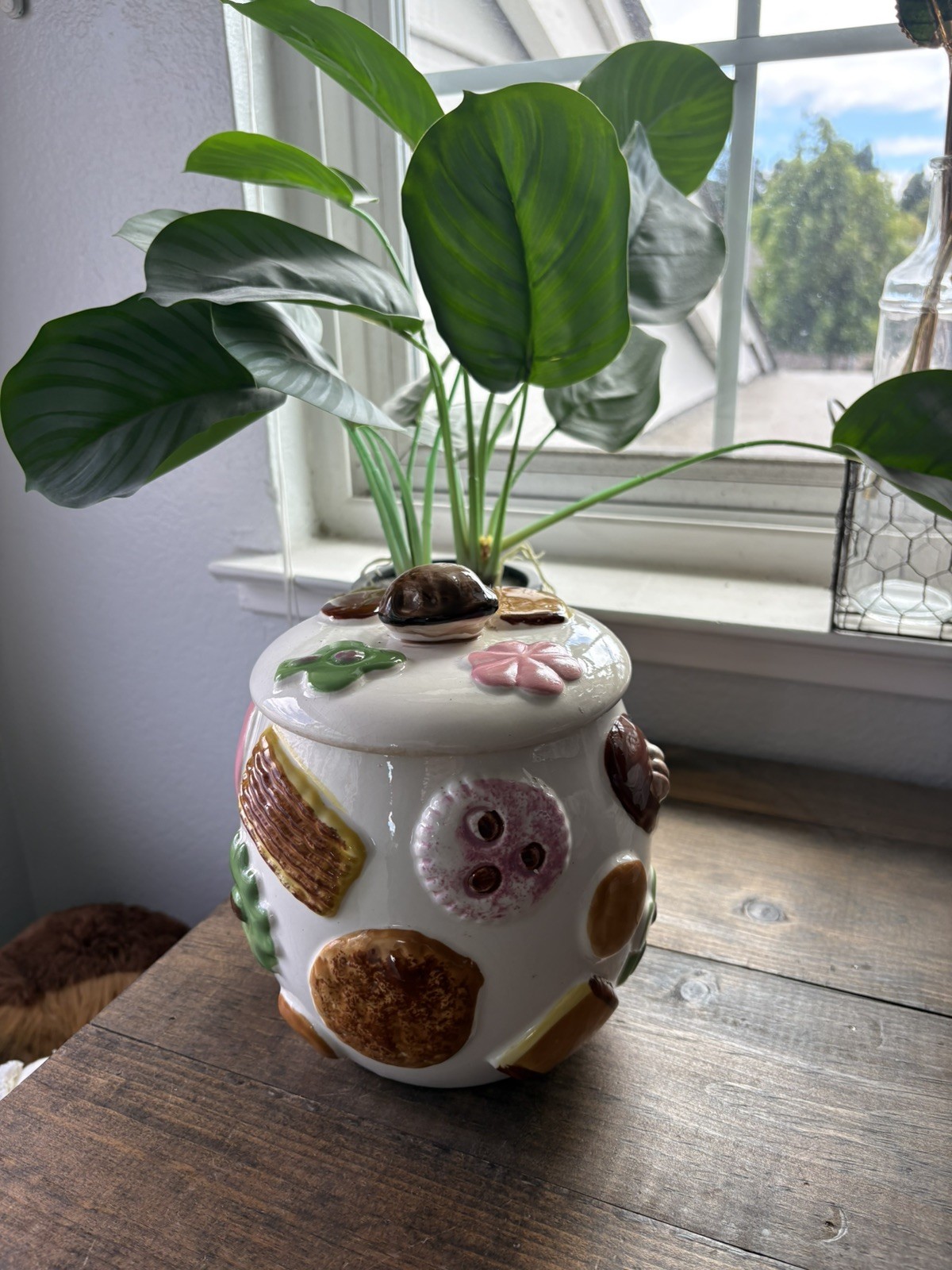 1950s rare vintage napco ceramic cookies all over cookie jar with walnut lid 1950s rare vintage napco ceramic cookies all over cookie jar with walnut lid