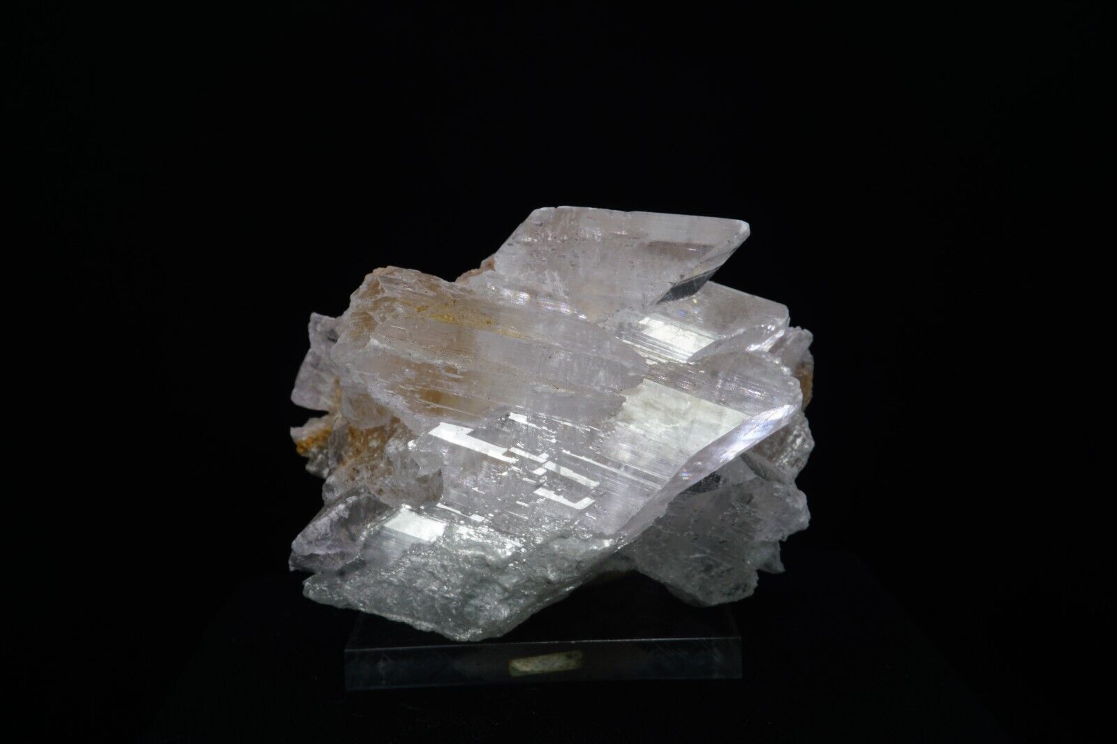 Naica Selenite / 6.4cm Mineral Specimen / Naica, Mexico