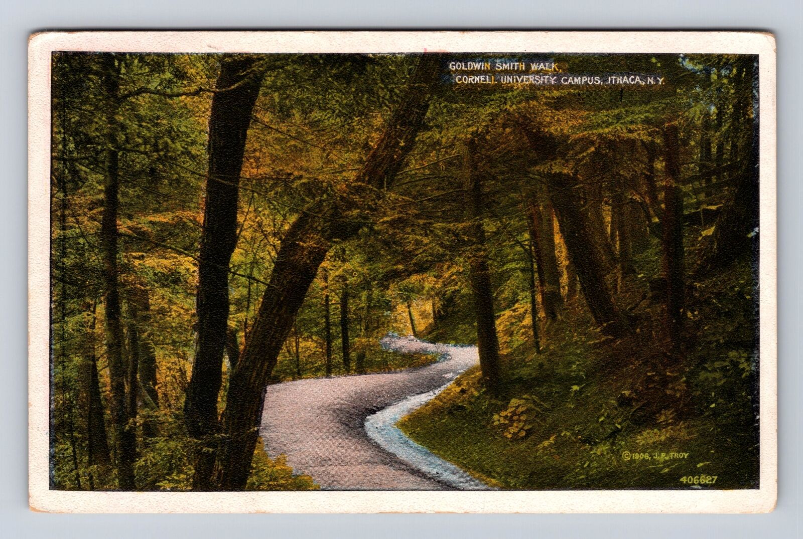 Ithaca NY-New York, Cornell University Goldwin Smith Walk Vintage c1928 Postcard