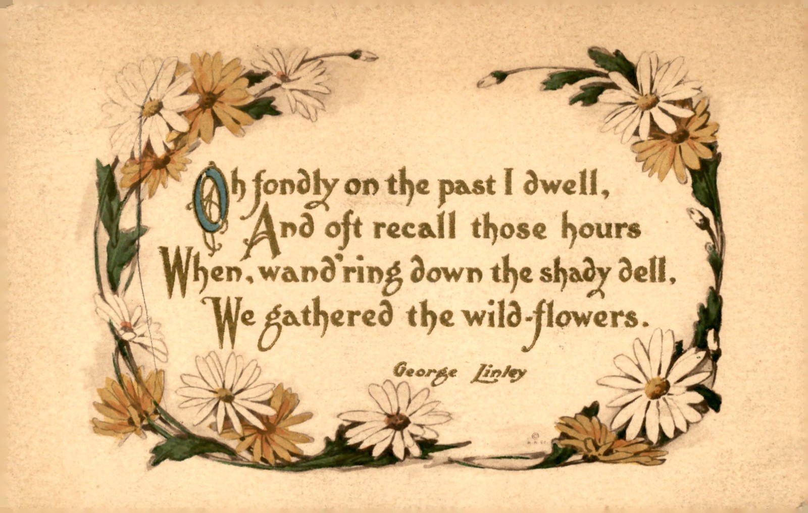 Tilden, NE 1913: Gathering Wildflowers in Shady Dell Postcard