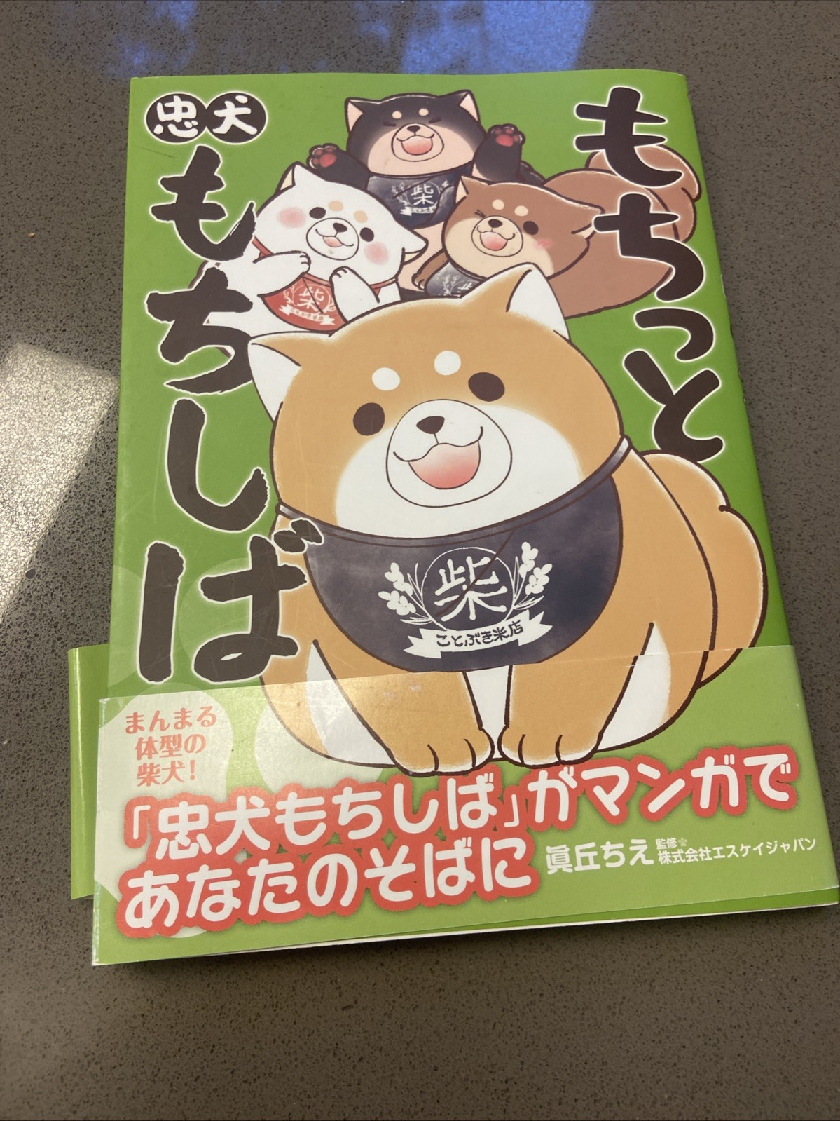 Chuken MOCHISHIBA Mochi Manga Japanese edition book very hard to find