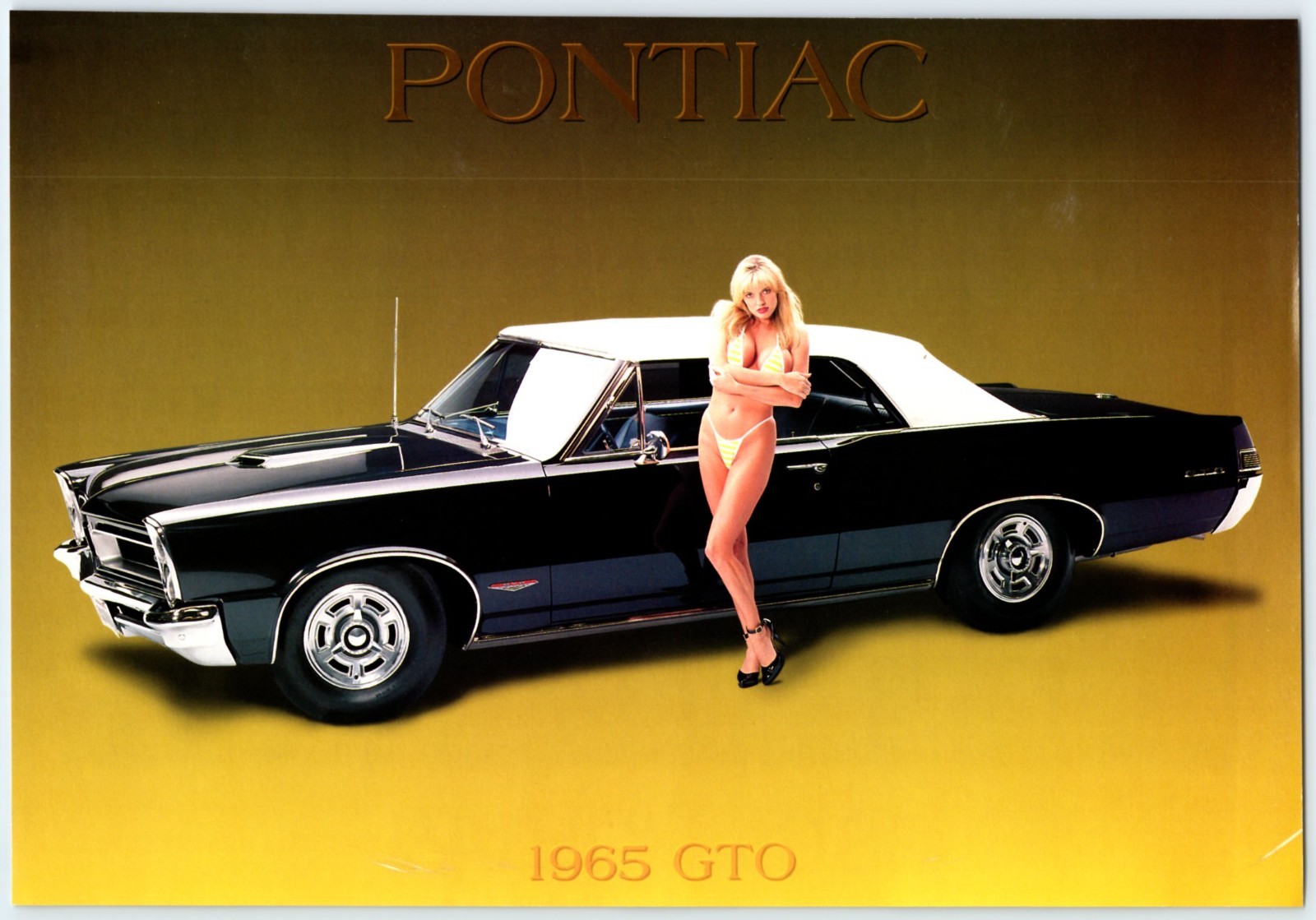 1965 PONTIAC GTO BIKINI GIRL 7 1965 PONTIAC GTO BIKINI GIRL 7
