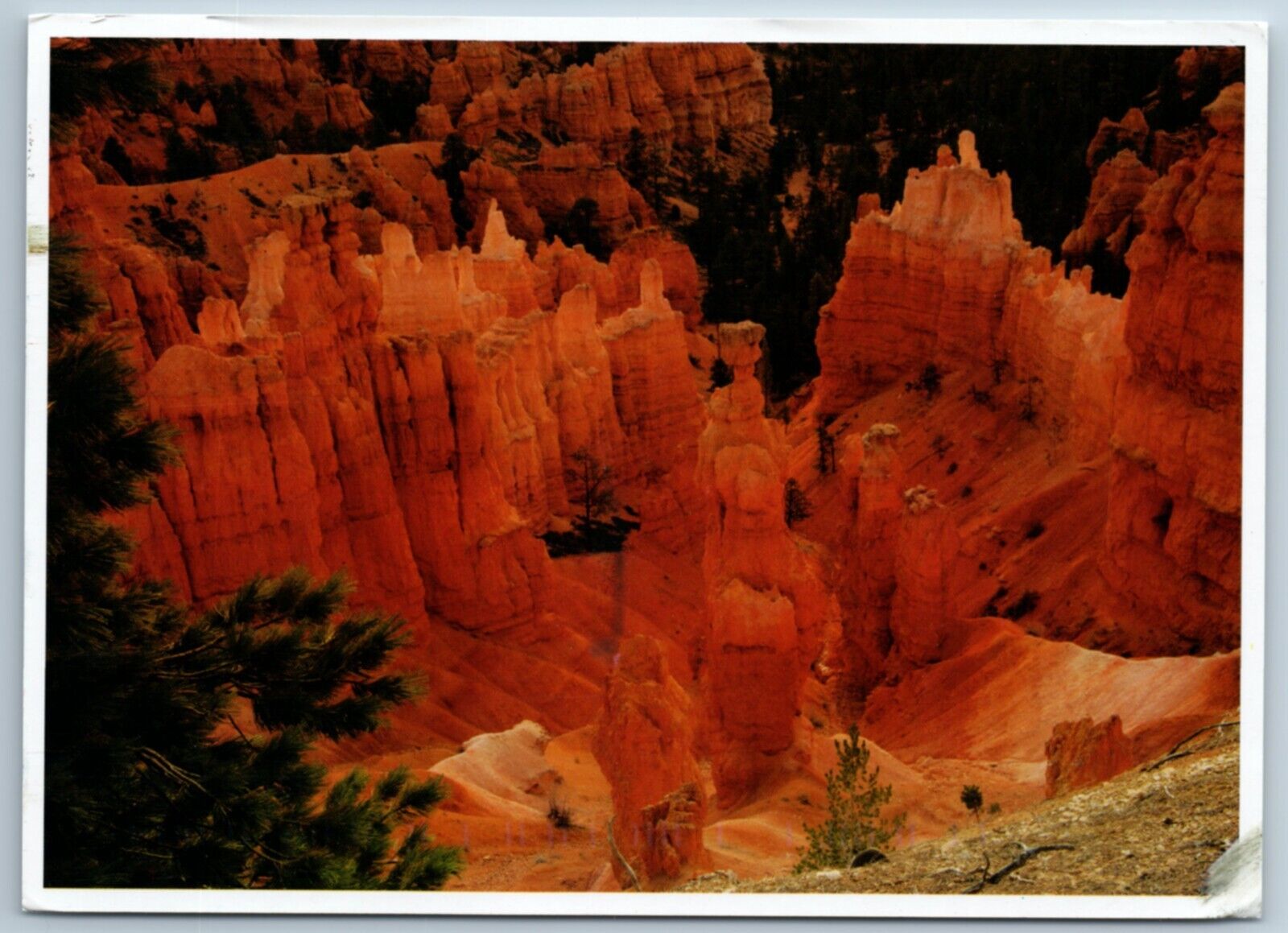 Bryce Canyon National Park Utah Continental 4X6 Postcard A2F August 2012