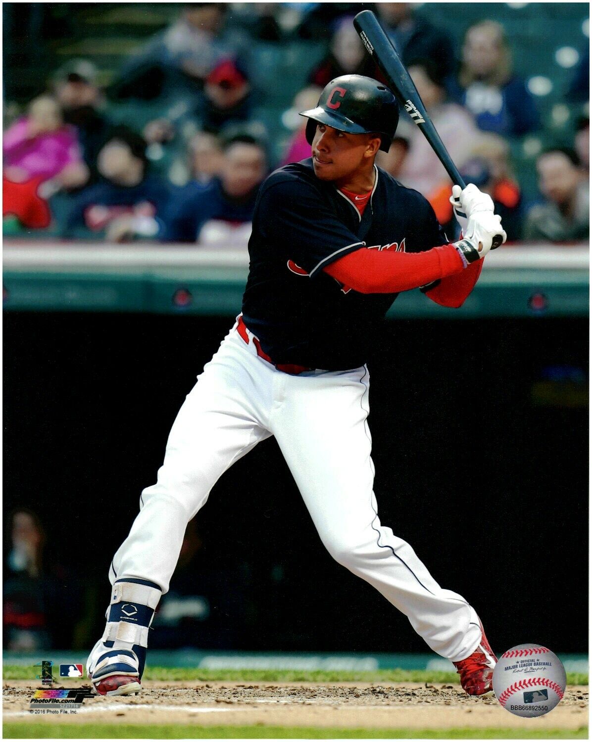 Michael Brantley Cleveland Indians LICENSED 8x10 Baseball Photo 