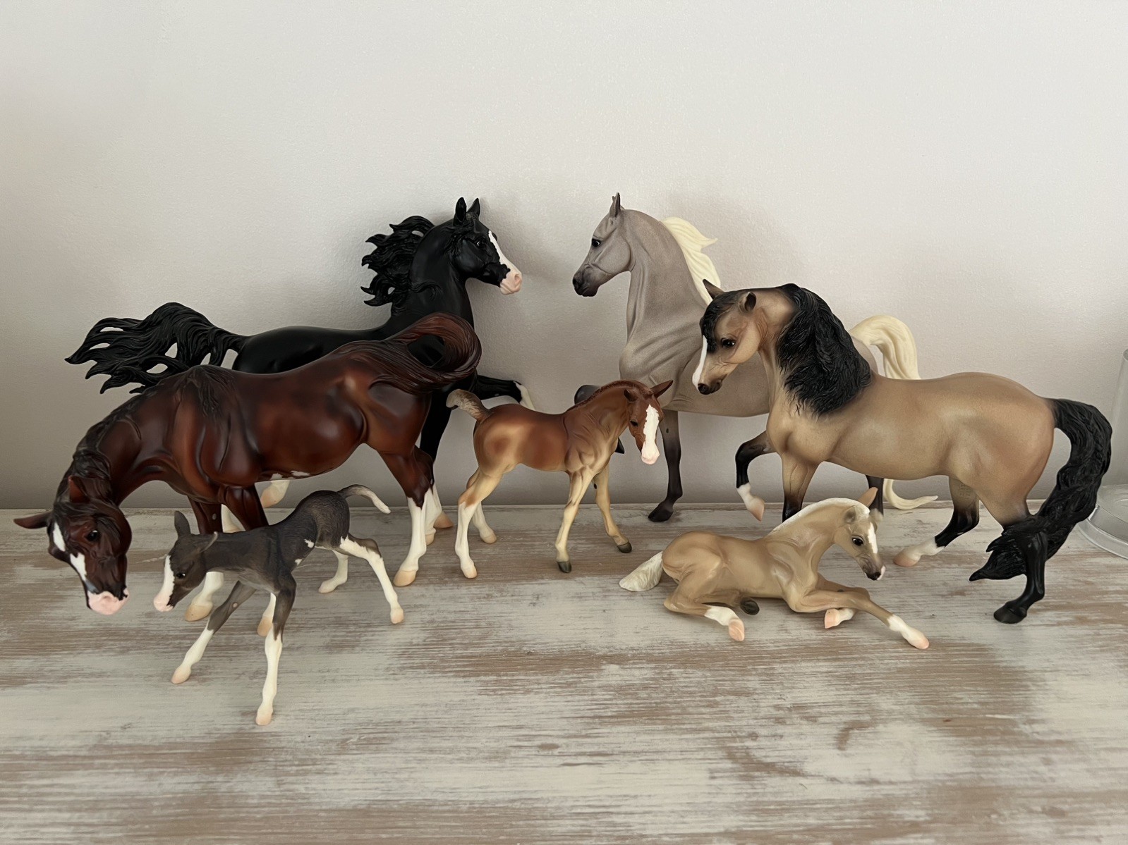 Breyer Color Crazy Treasure Hunt 2008 Full Set White/Sabino Variation Breyer Color Crazy Treasure Hunt 2008 Full Set White/Sabino Variation