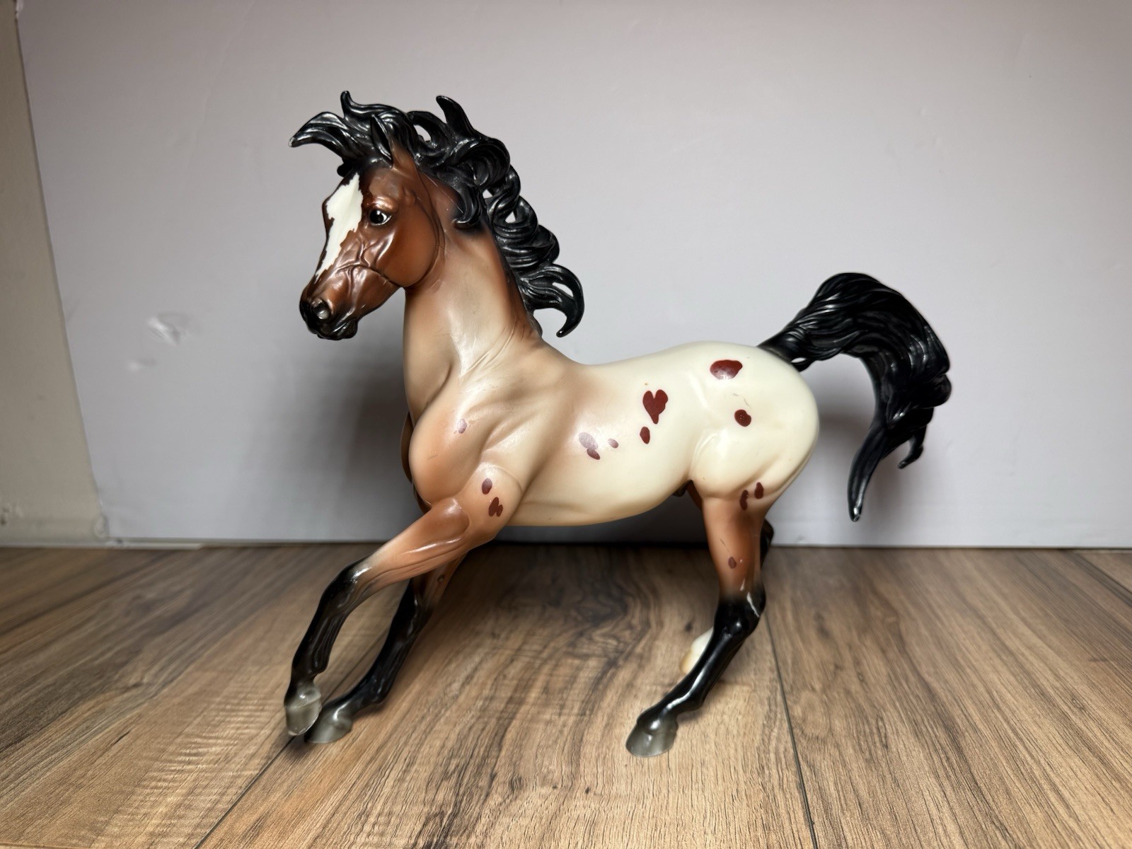 BREYER WILDER Arabian Appaloosa TSC Tractor Supply EXCLUSIVE Model HORSE BREYER WILDER Arabian Appaloosa TSC Tractor Supply EXCLUSIVE Model HORSE
