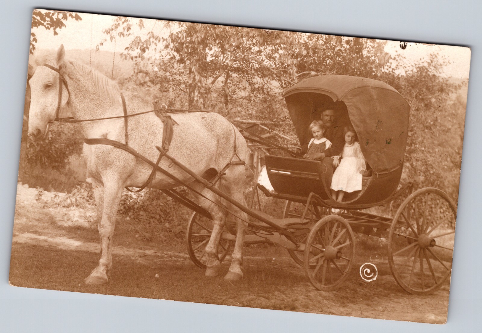 Post Card OLDEST ONE HORSE IN AMERICA 250 YEARS OLD Owned by J.W. Walden. Post Card OLDEST ONE HORSE IN AMERICA 250 YEARS OLD Owned by J.W. Walden.