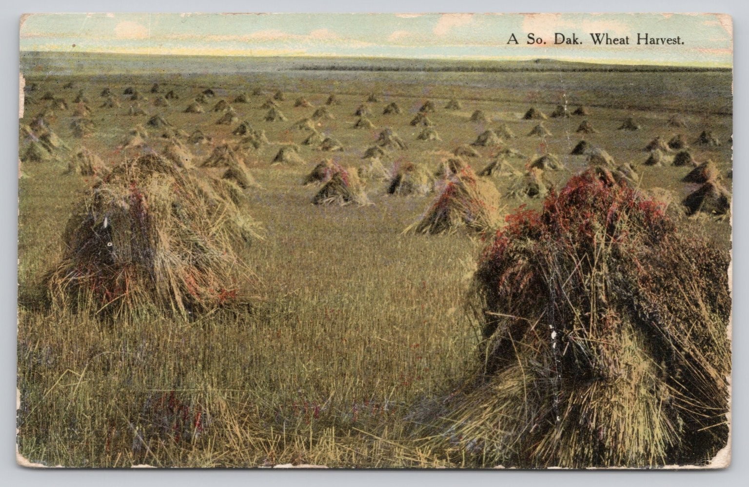 Vintage South Dakota Wheat Harvest Postcard Bloom Bros. Farm Field Shocks Vintage South Dakota Wheat Harvest Postcard Bloom Bros. Farm Field Shocks