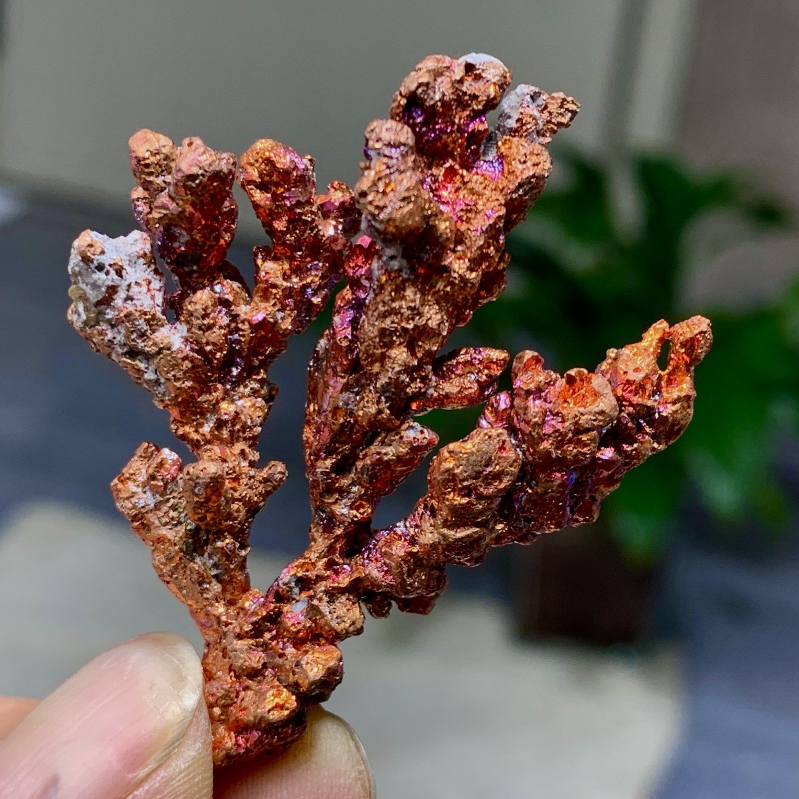 28G Rare iridescent Native Copper crystal mineral specimen 28G Rare iridescent Native Copper crystal mineral specimen