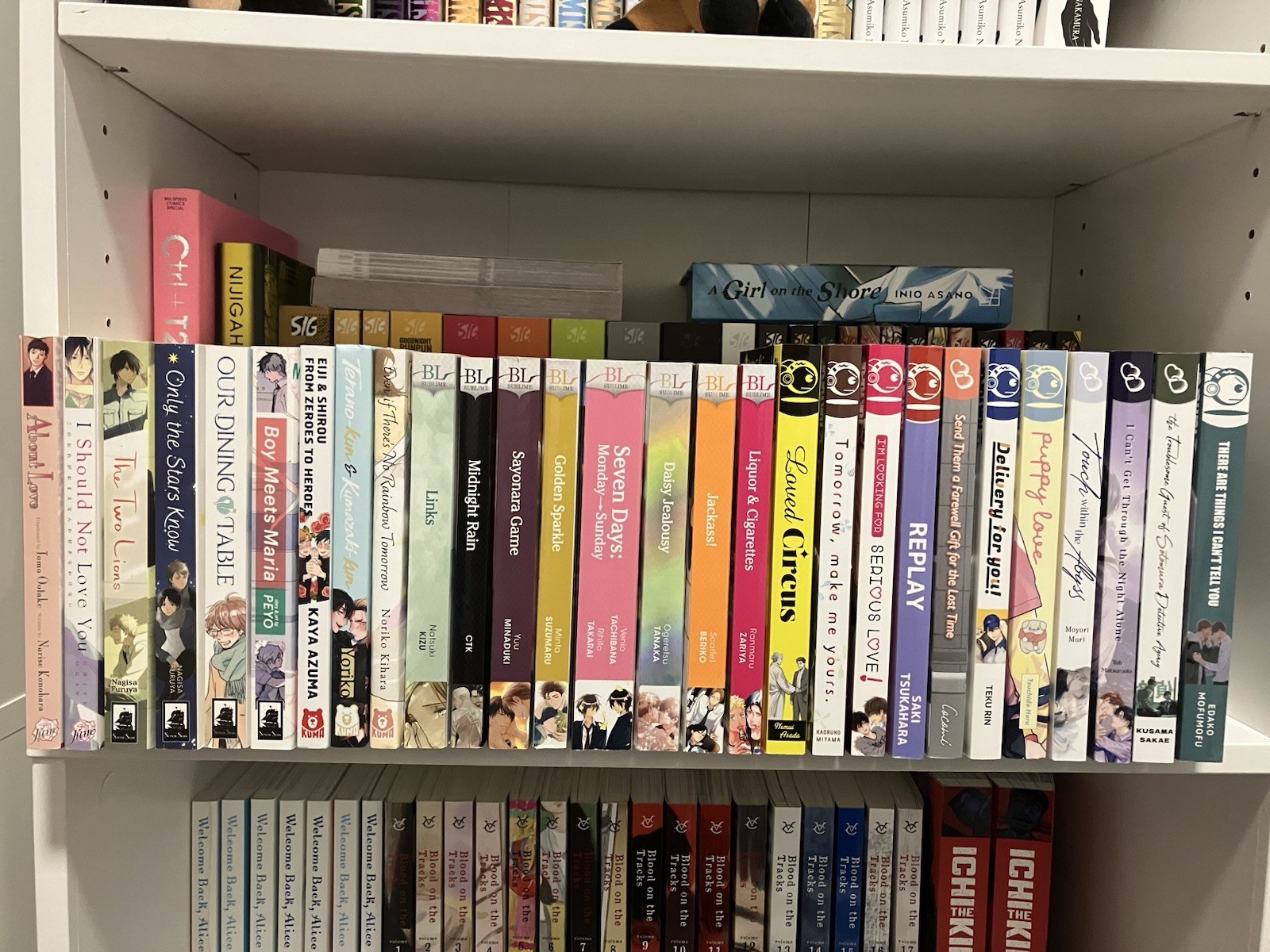 BL Manga Lot. Seven Seas. Kuma, SuBLime, TokyoPop, June. 28 VOLUME LOT ONE SHOTS BL Manga Lot. Seven Seas. Kuma, SuBLime, TokyoPop, June. 28 VOLUME LOT ONE SHOTS