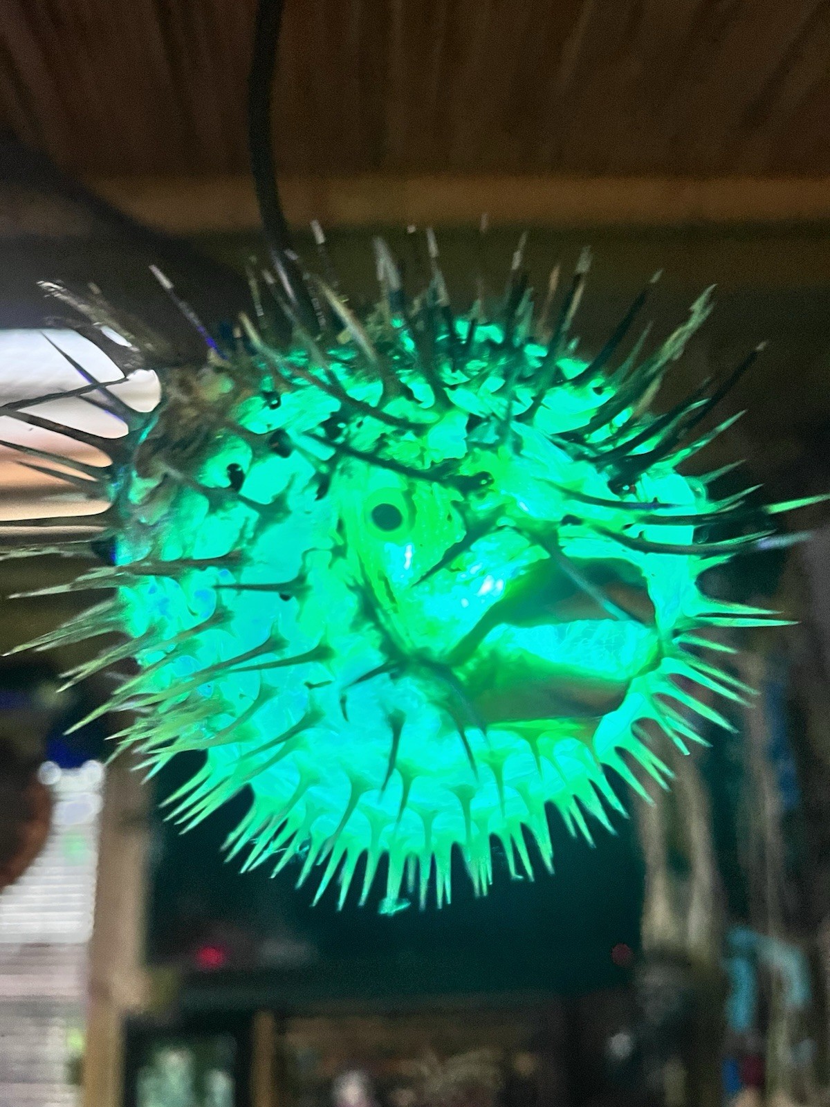 NEW 5”-6” Pufferfish Lamp w/Color Changing LED Tiki bar Smokin Tikis Oceanic NEW 5”-6” Pufferfish Lamp w/Color Changing LED Tiki bar Smokin Tikis Oceanic