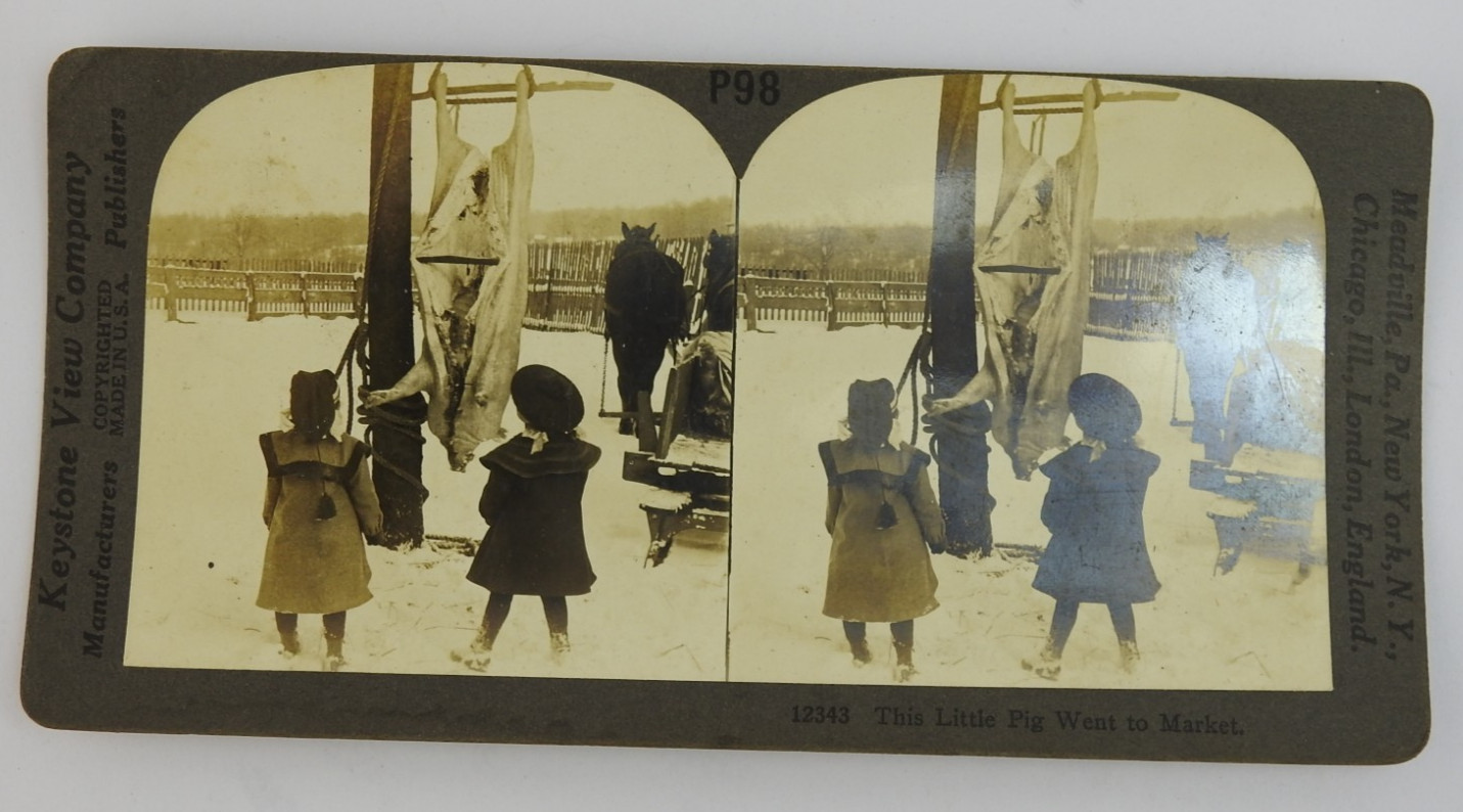 Vintage Keystone Stereoview Company Stereoview Card 12343 Children Animals