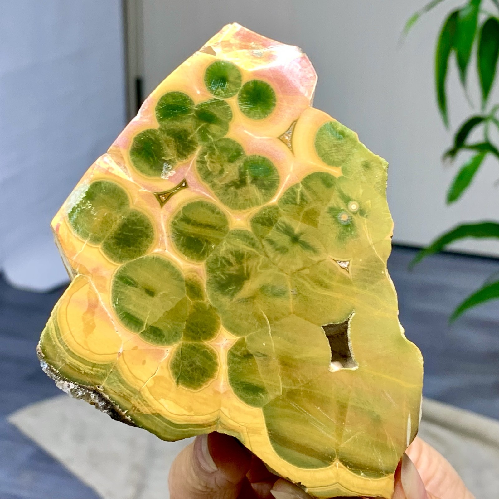 549G Natural Bumblebee Ocean Jasper Quartz Crystal Specimen Healing/Madagascar 549G Natural Bumblebee Ocean Jasper Quartz Crystal Specimen Healing/Madagascar