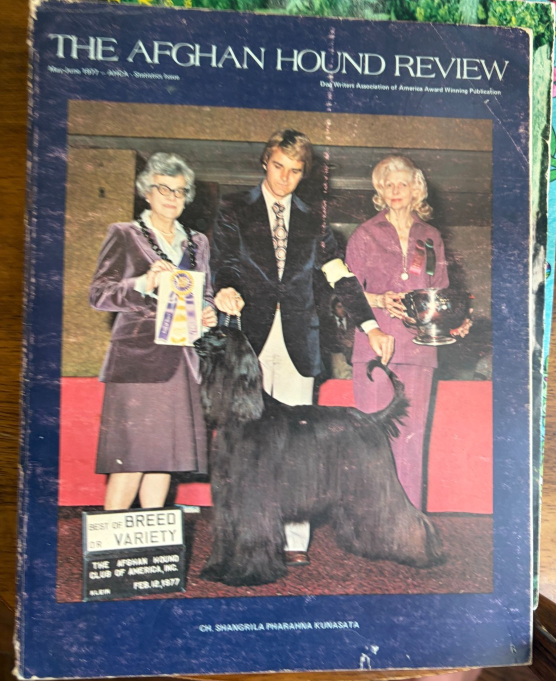 THE AFGHAN HOUND REVIEW May June 1977 Rare THE AFGHAN HOUND REVIEW May June 1977 Rare