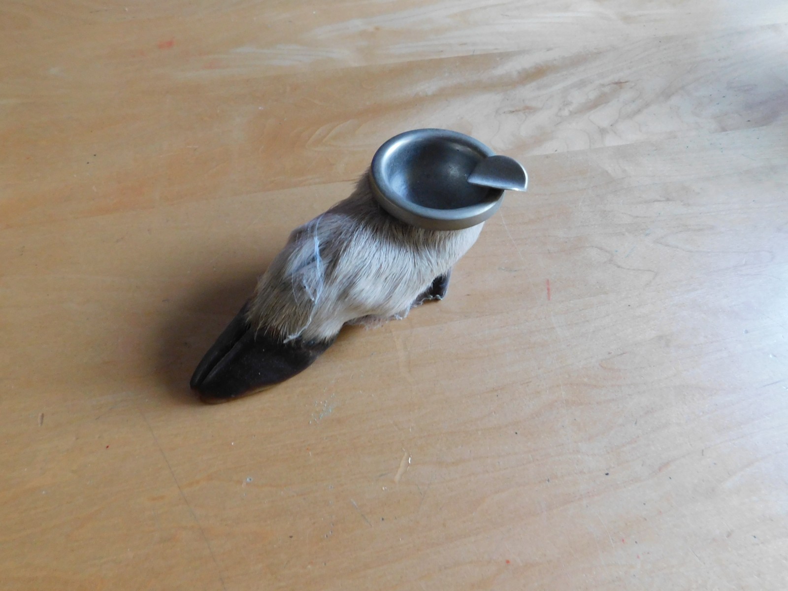 Vintage Taxidermy Deer Elk Split Hoof Western Style Ashtray
