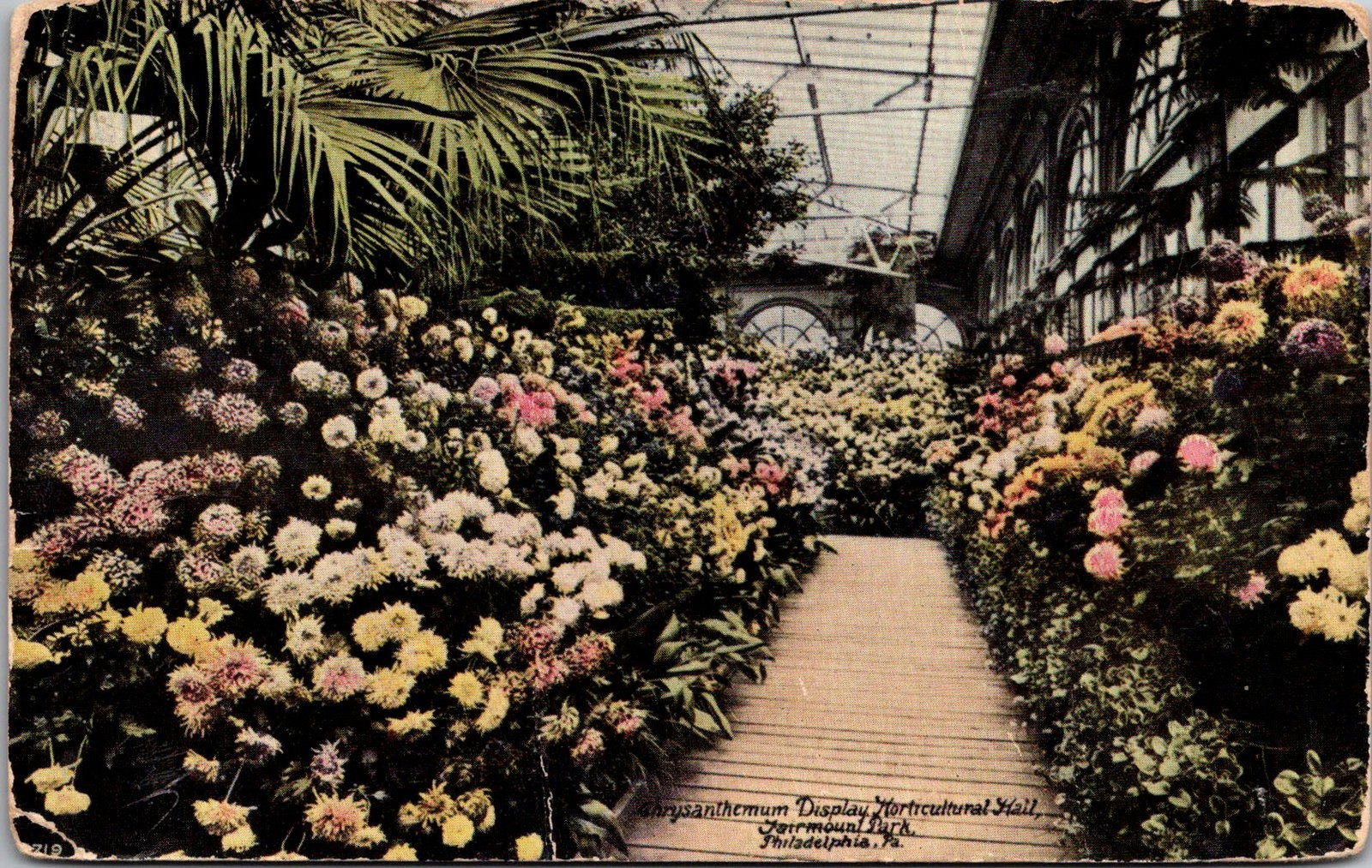 Chrysanthemum Display Horticultural Hall Philadelphia PA Vtg Postcard 5P21-24 Chrysanthemum Display Horticultural Hall Philadelphia PA Vtg Postcard 5P21-24