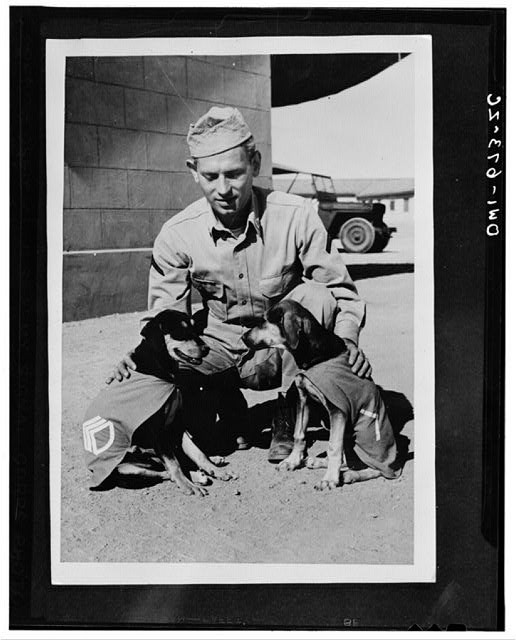 Photo:India 1942 Norman Diamond Signal Service dog mascots promotions