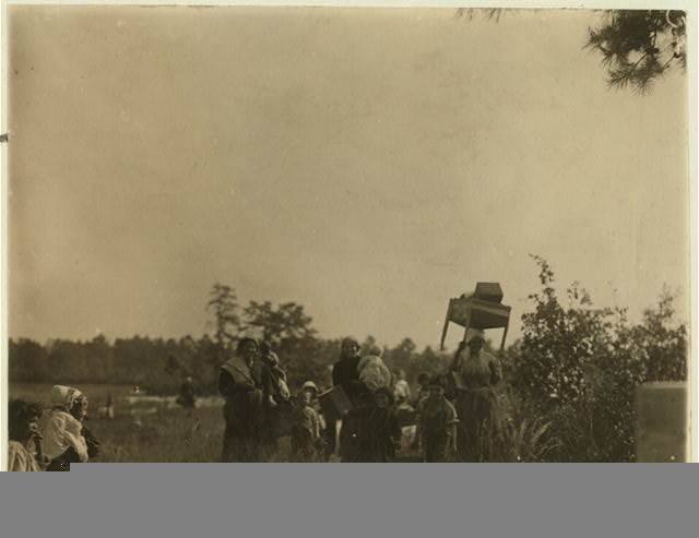 Photo:Browns Mills New Jersey 1910 Cranberry Pickers Whites Bog