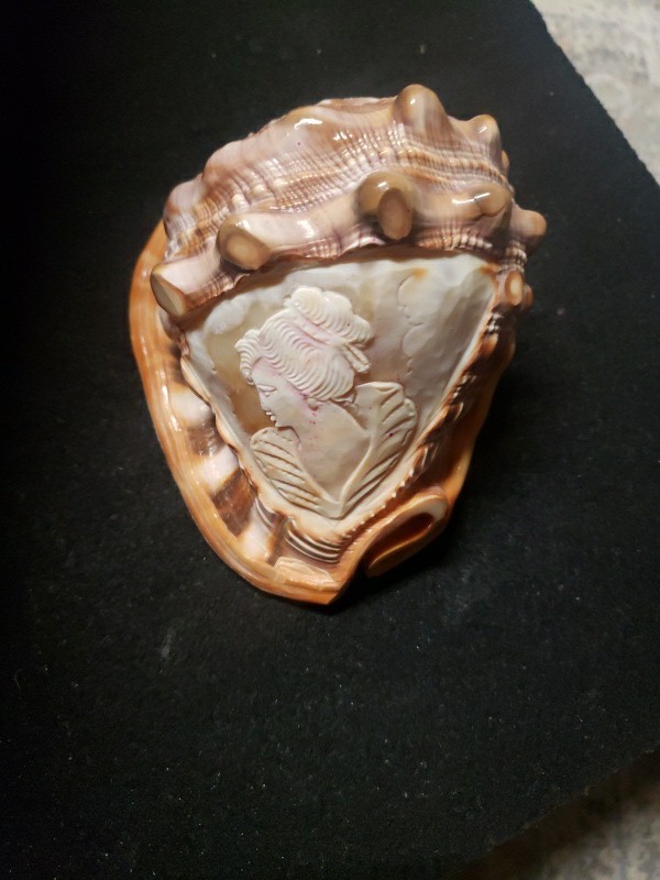 Vintage Italy Hand Carved Cameo Colorful Seashell Conch Vintage Italy Hand Carved Cameo Colorful Seashell Conch