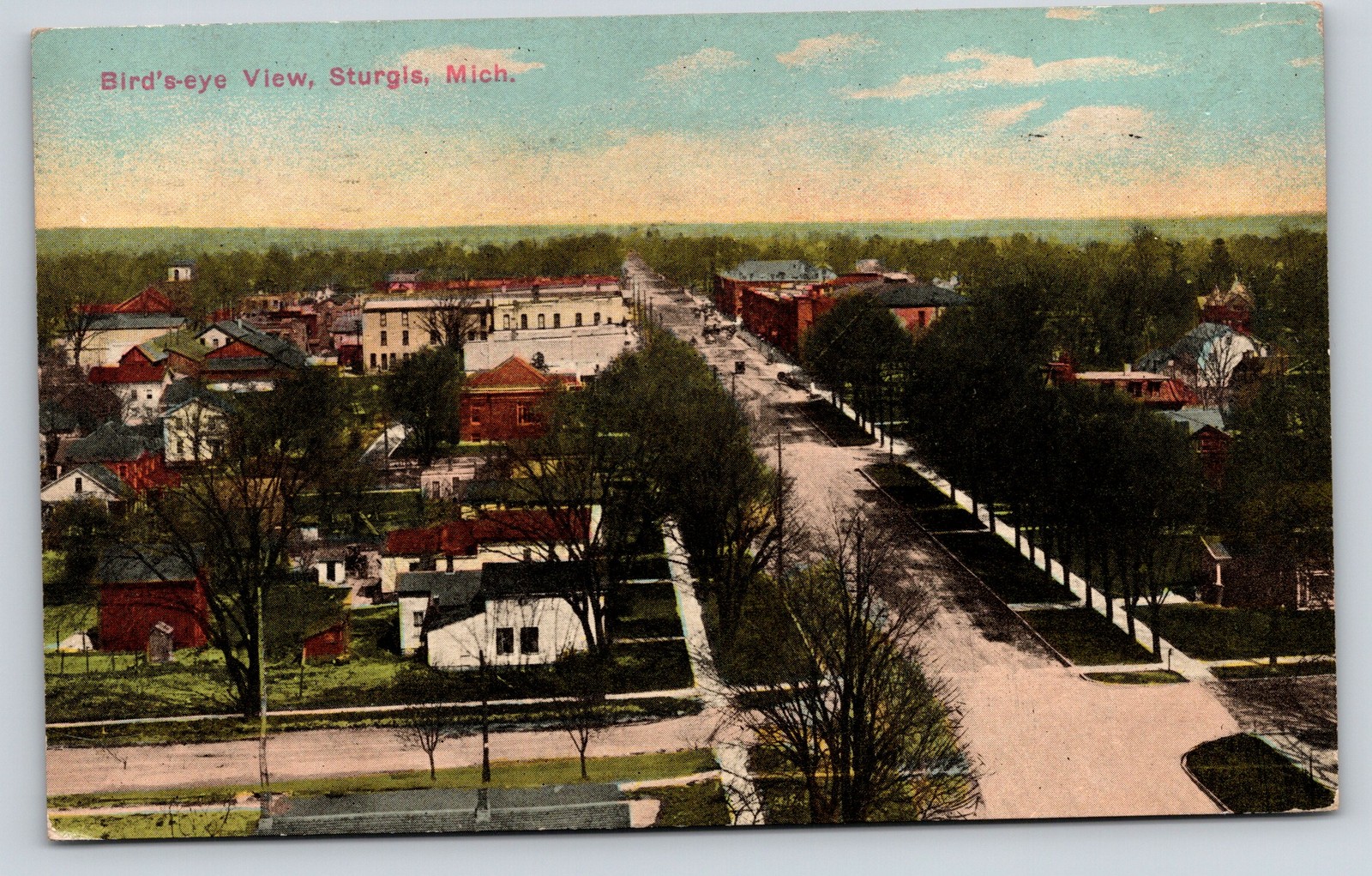 Sturgis Michigan~Birdseye Homes~Backyards~Businesses on Street~1913 PC Sturgis Michigan~Birdseye Homes~Backyards~Businesses on Street~1913 PC