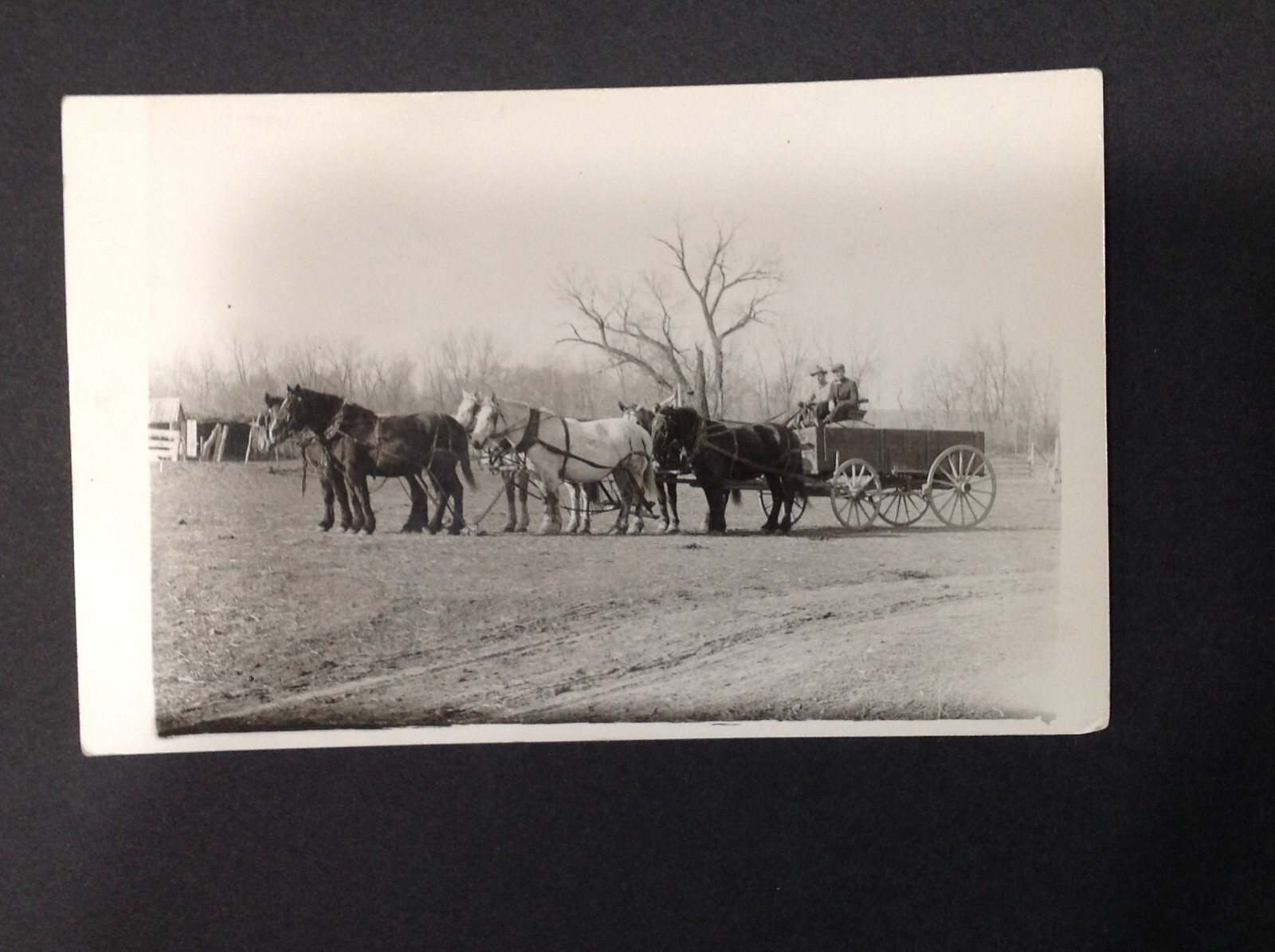 RPPC Horse Drawn Wagon - Early 1900's Unposted NOS RPPC Horse Drawn Wagon - Early 1900's Unposted NOS