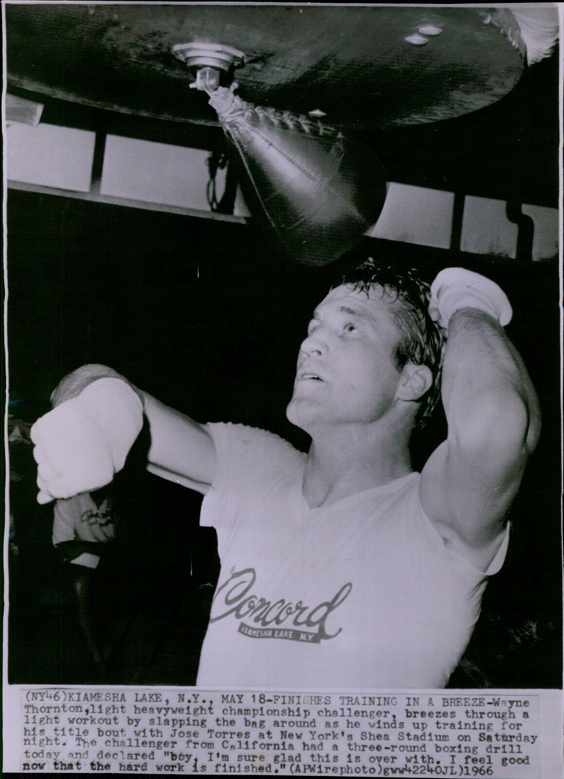 LG830 1966 Wire Photo FINISHES TRAINING IN A BREEZE Wayne Thornton Hvywt Boxing