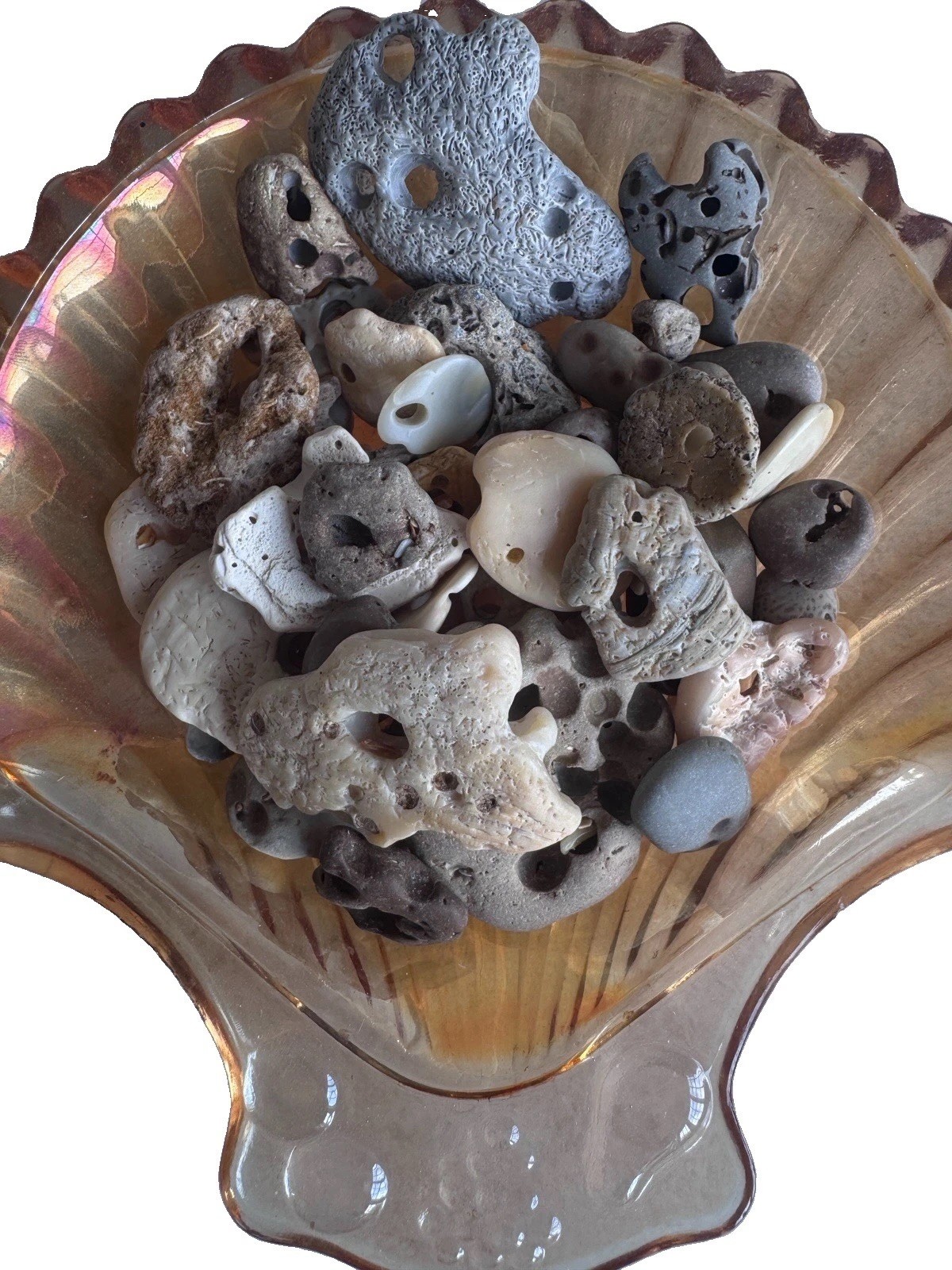 44 Natural Hag Stones| Genuine Holy beach Stones| Craft Lot,Wicca,Pagan C 44 Natural Hag Stones| Genuine Holy beach Stones| Craft Lot,Wicca,Pagan C