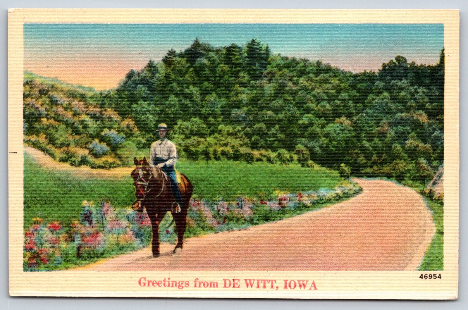 Vintage Postcard Horse Greetings From De Witt Iowa Vintage Postcard Horse Greetings From De Witt Iowa