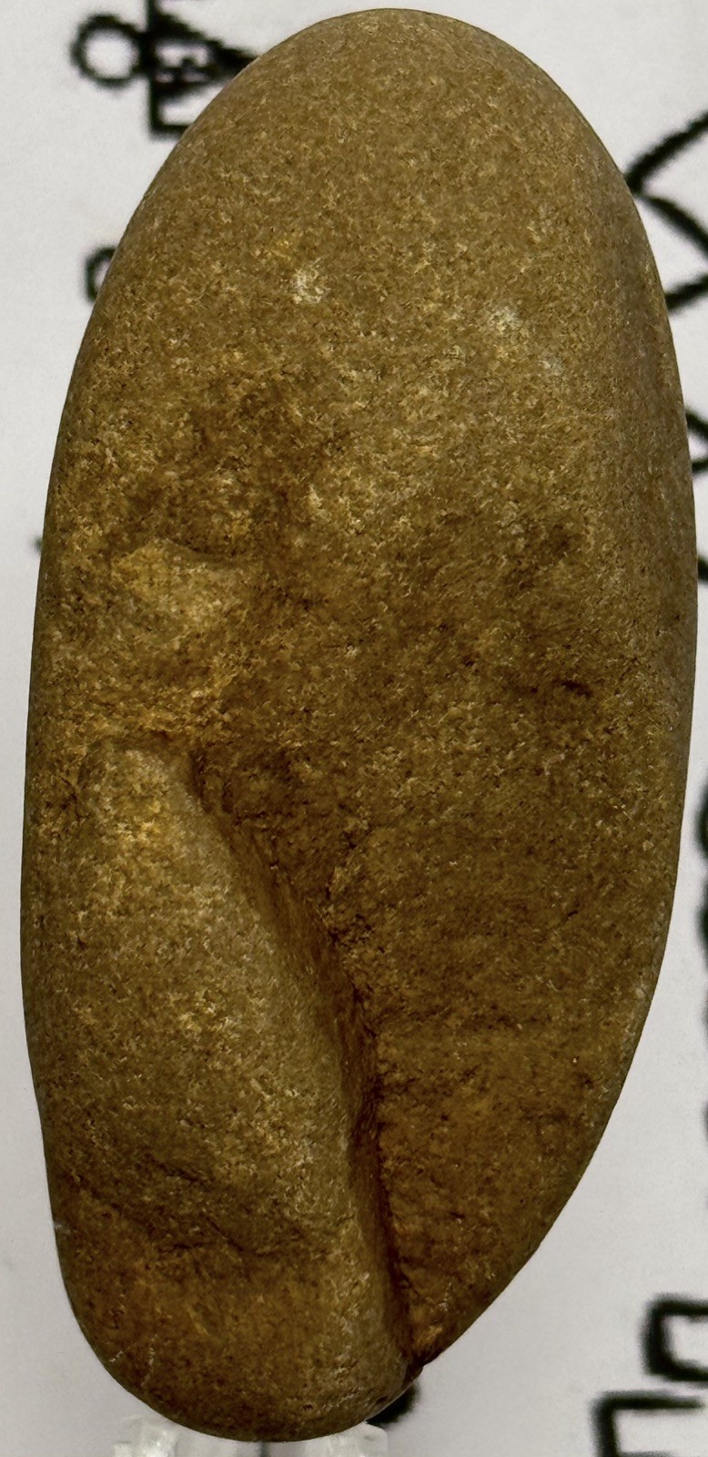 Native American Indian Authentic Carved Stone Ancient Effigy 2.7 oz • VA Native American Indian Authentic Carved Stone Ancient Effigy 2.7 oz • VA