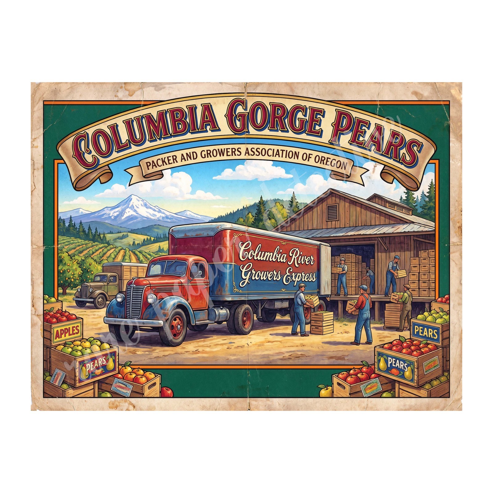 Columbia River Gorge Pears 1950s Retro Style Fruit Crate Label 10.5\ Columbia River Gorge Pears 1950s Retro Style Fruit Crate Label 10.5\