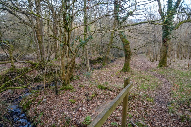 Photo A2 Mid Devon : Woodland Path Garlandhayes Looking along a footpath c2019 Photo A2 Mid Devon : Woodland Path Garlandhayes Looking along a footpath c2019