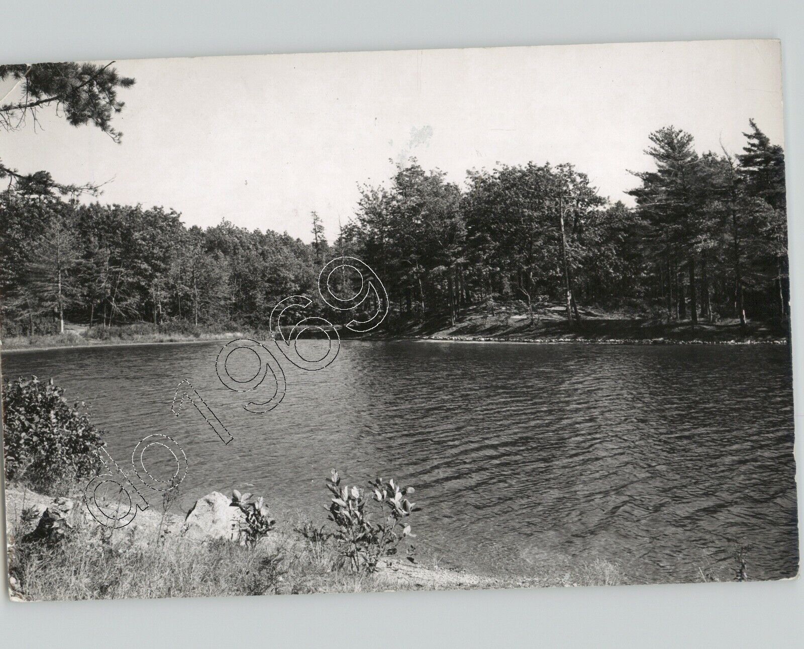 WALDEN POND, CONCORD, MASSACHUSETTS Poetry and Literature 1950s Press Photo