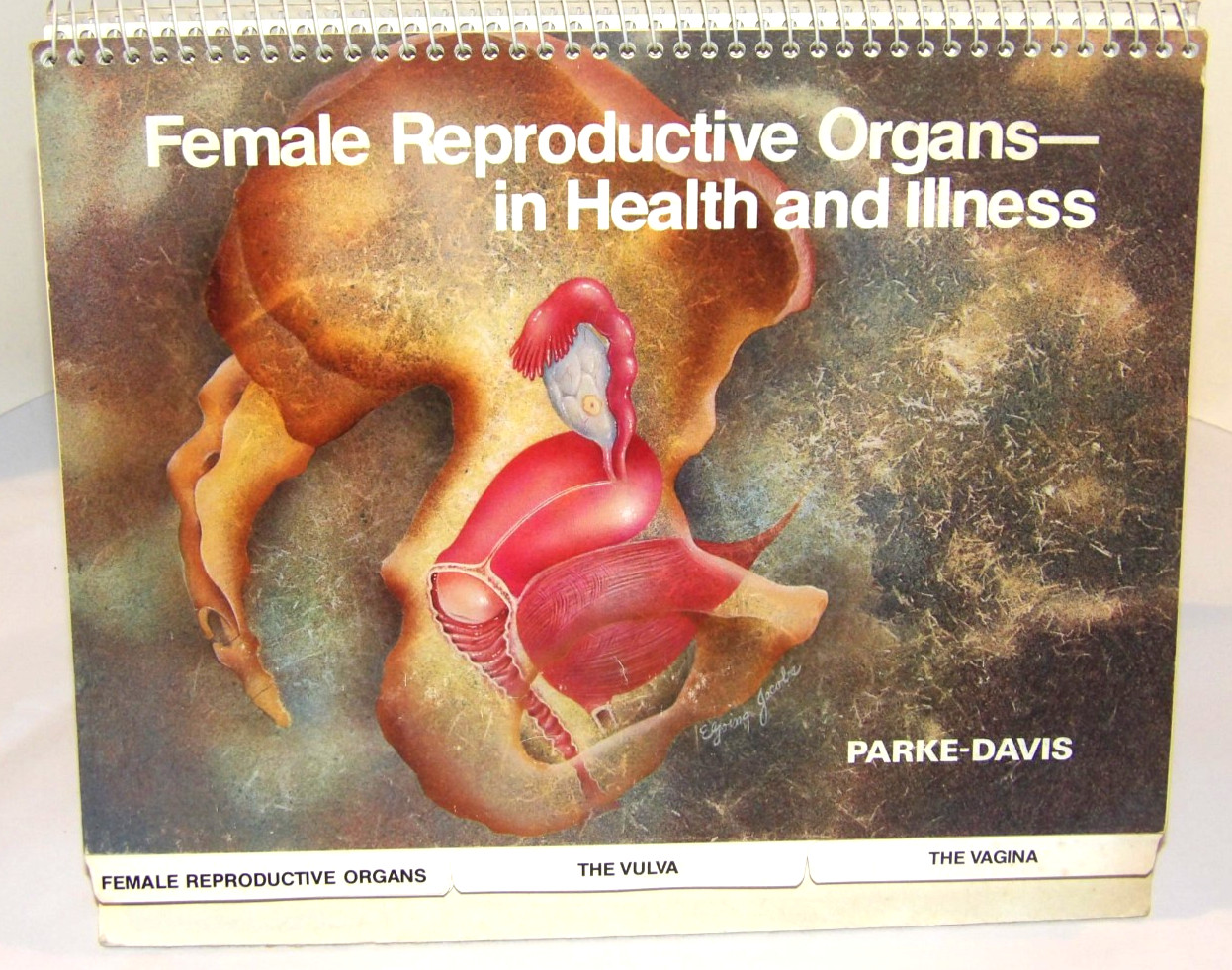 VTG 1978 DOCTOR OFFICE FLIP CHART/BOOK 