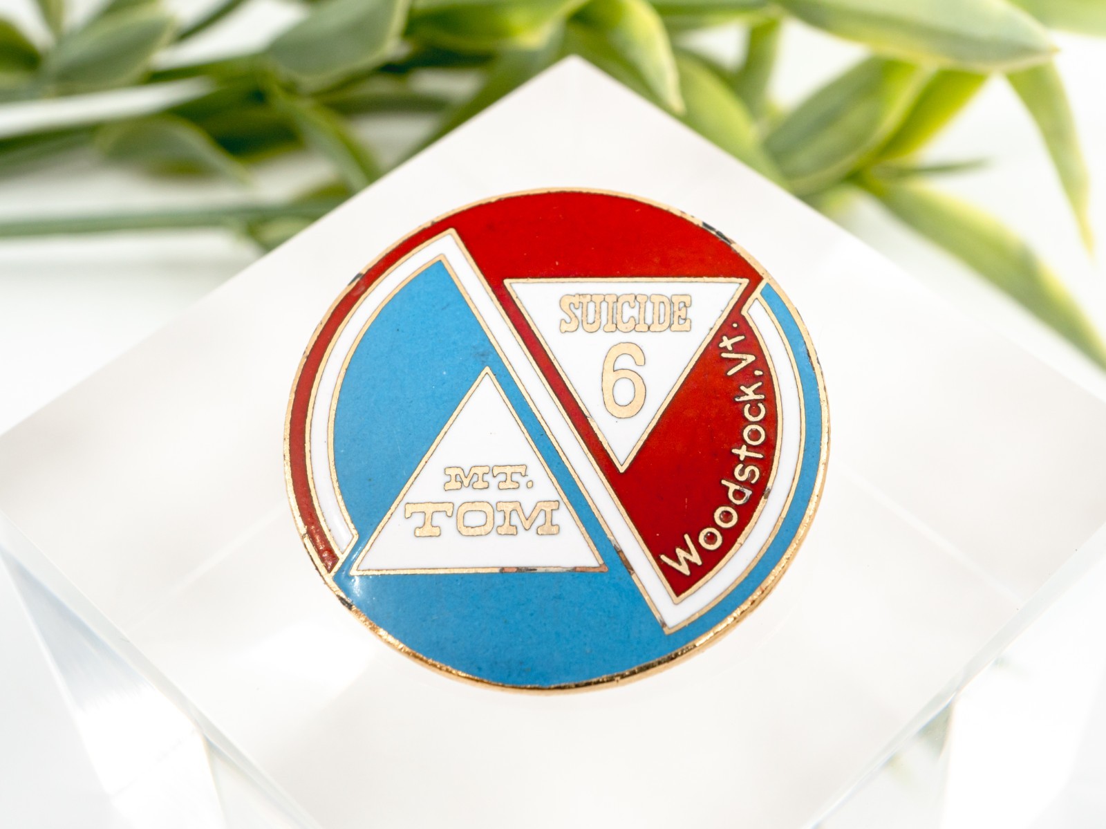 Rare Mt. Tom Suicide (Saskadena) Six Ski Areas Woodstock, VT Vintage Enamel Pin Rare Mt. Tom Suicide (Saskadena) Six Ski Areas Woodstock, VT Vintage Enamel Pin