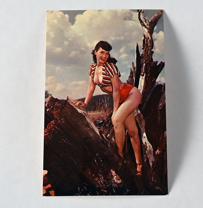 Bettie Page Vintage In a Tree Pin Up Sexy Unused Postcard -