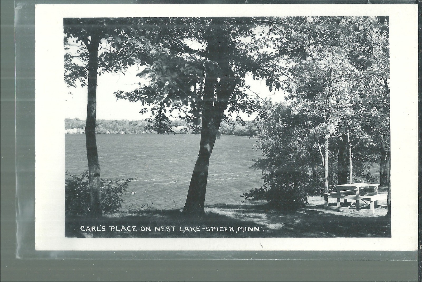 NICE RPPC VIEW FROM CARL'S PLACE ON NEST LAKE IN SPICER, MN NICE RPPC VIEW FROM CARL'S PLACE ON NEST LAKE IN SPICER, MN