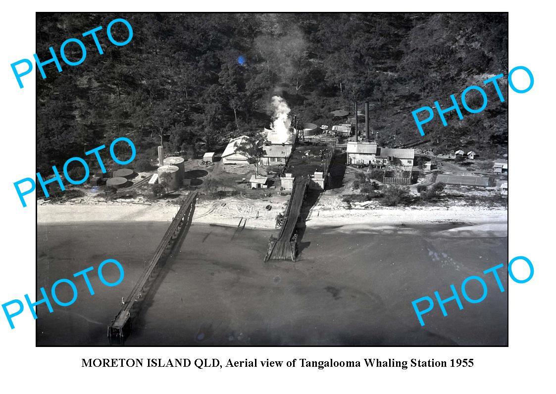 OLD 8x6 PHOTO BRISBANE QLD MORETON ISLANDS TANGALOOMA WHALING STATION 1955 OLD 8x6 PHOTO BRISBANE QLD MORETON ISLANDS TANGALOOMA WHALING STATION 1955