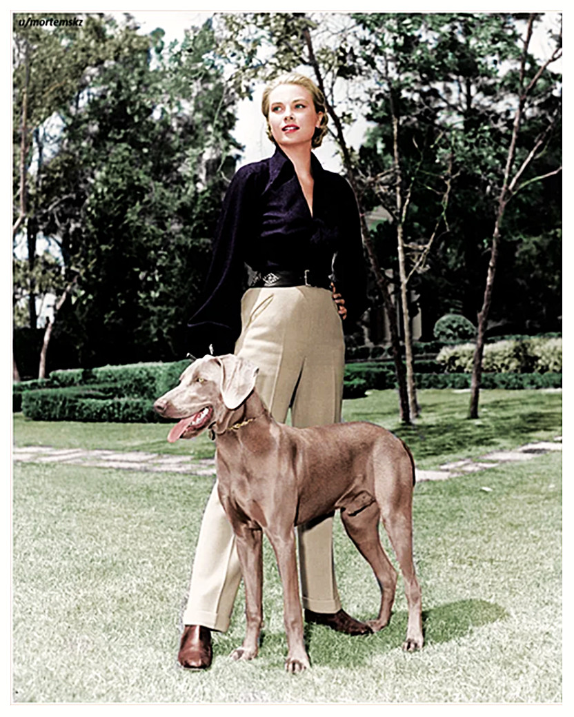 ACTRESS GRACE KELLY WITH ONE OF HER DOGS COLOR 8 ACTRESS GRACE KELLY WITH ONE OF HER DOGS COLOR 8