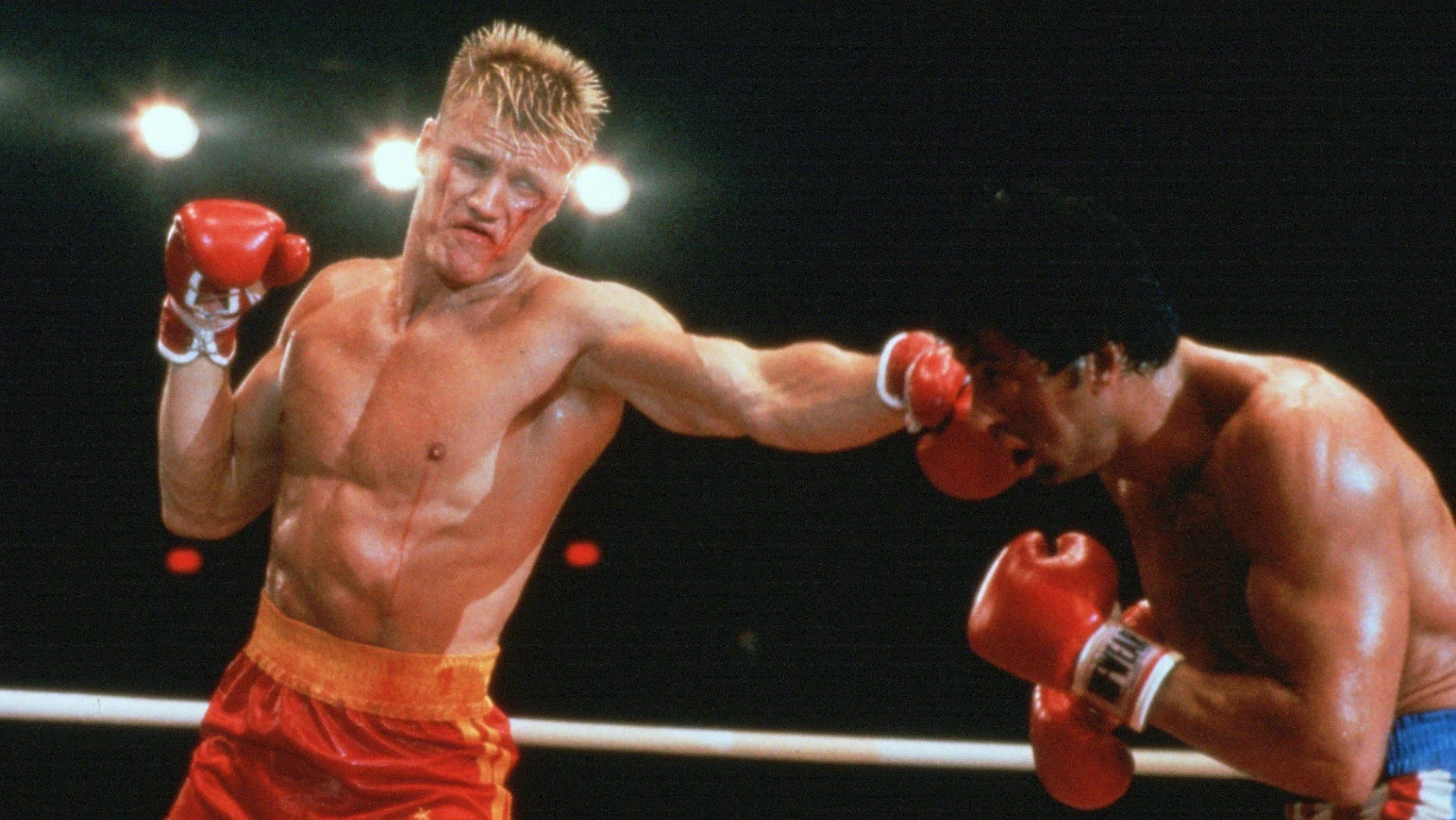 Movie Actor DOLPH LUNDGREN Classic Publicity Picture Photo 8x10 Movie Actor DOLPH LUNDGREN Classic Publicity Picture Photo 8x10