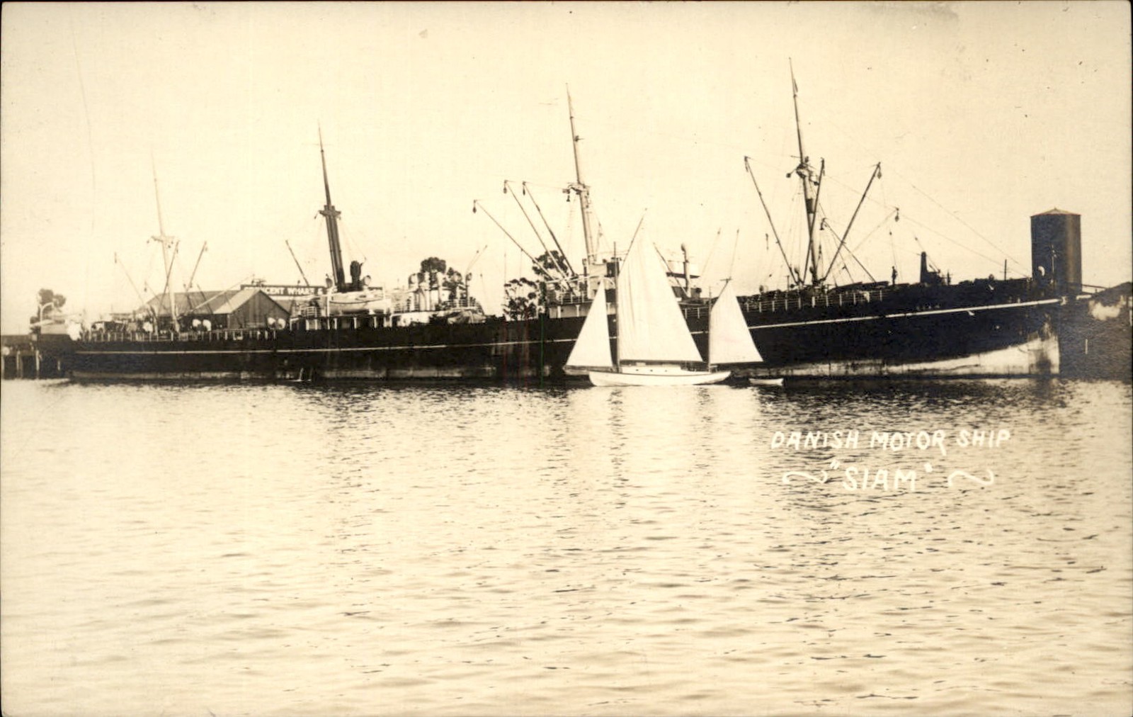 Danish motor Ship SIAM San Pedro Los Angeles Possibly c1910 RPPC bhn Danish motor Ship SIAM San Pedro Los Angeles Possibly c1910 RPPC bhn