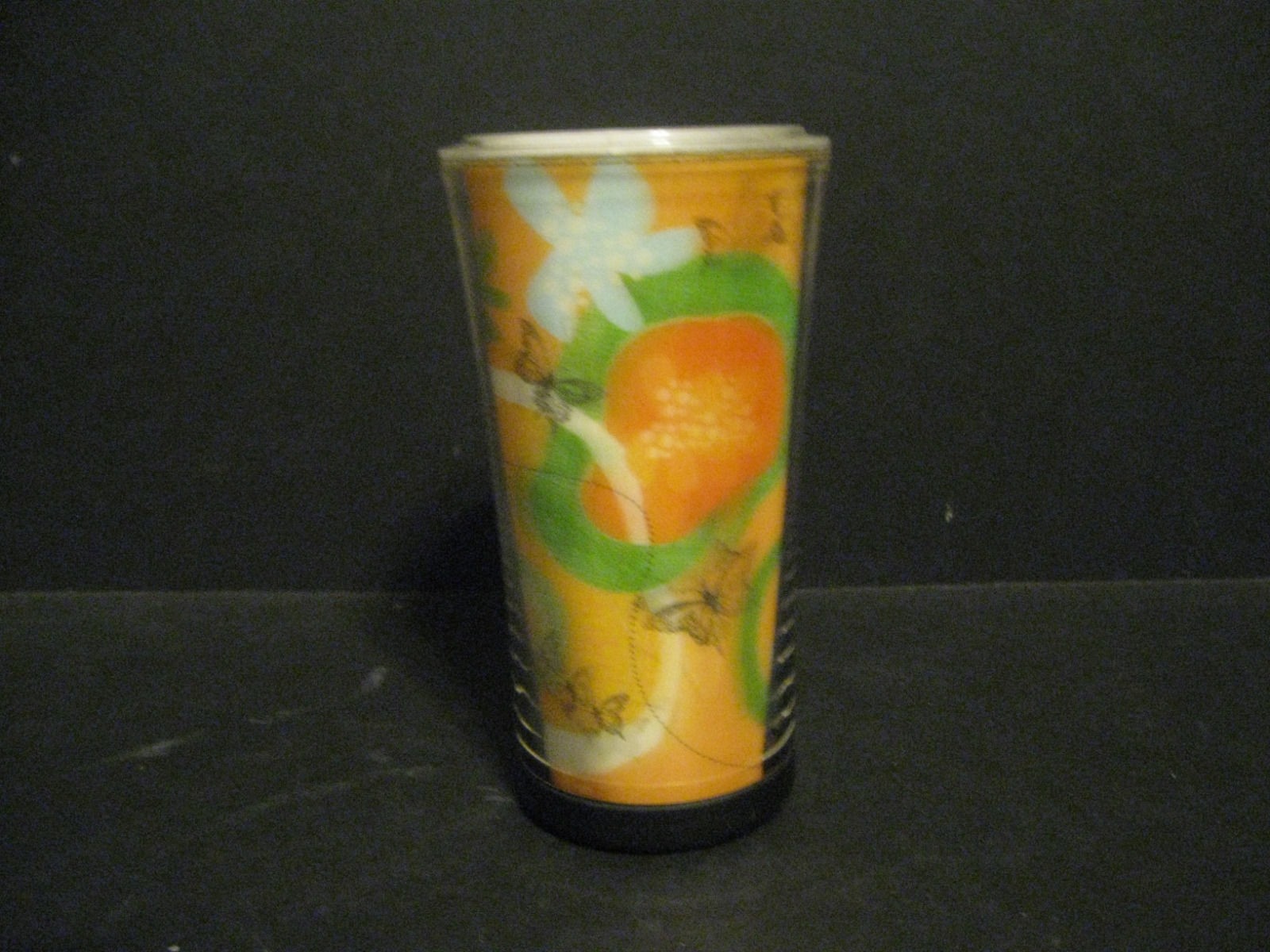 Rare Starbucks Acrylic Tumbler 2008 Hummingbird Butterfly Frog Insulated Plastic