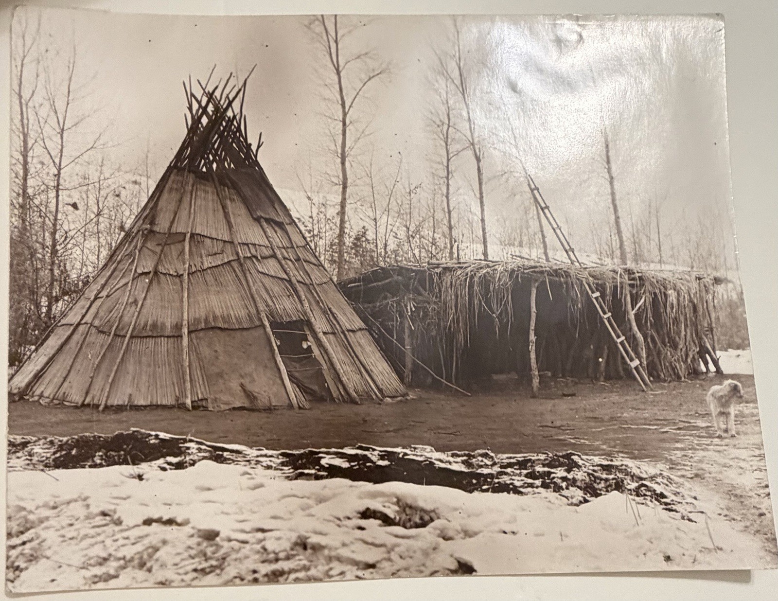 RARE EDWARD S CURTIS Original Studio MASTER PRINT Unframed SILVER GELATIN Photo RARE EDWARD S CURTIS Original Studio MASTER PRINT Unframed SILVER GELATIN Photo