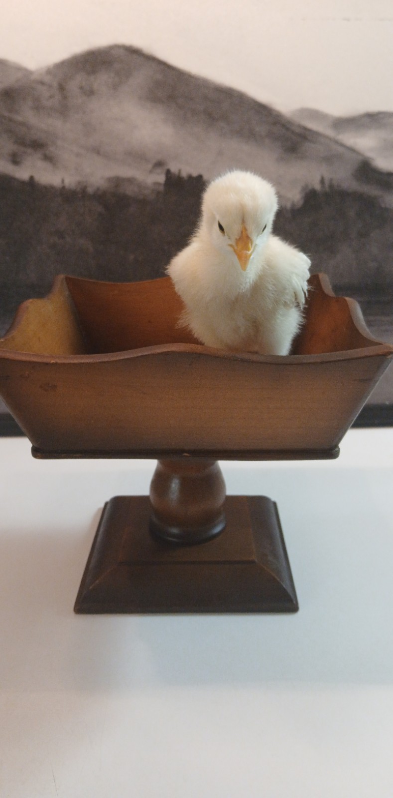 Vtg Napco National Potteries Bedford Ohio Wooden Pedestal Trinket Candy/Nut Dish