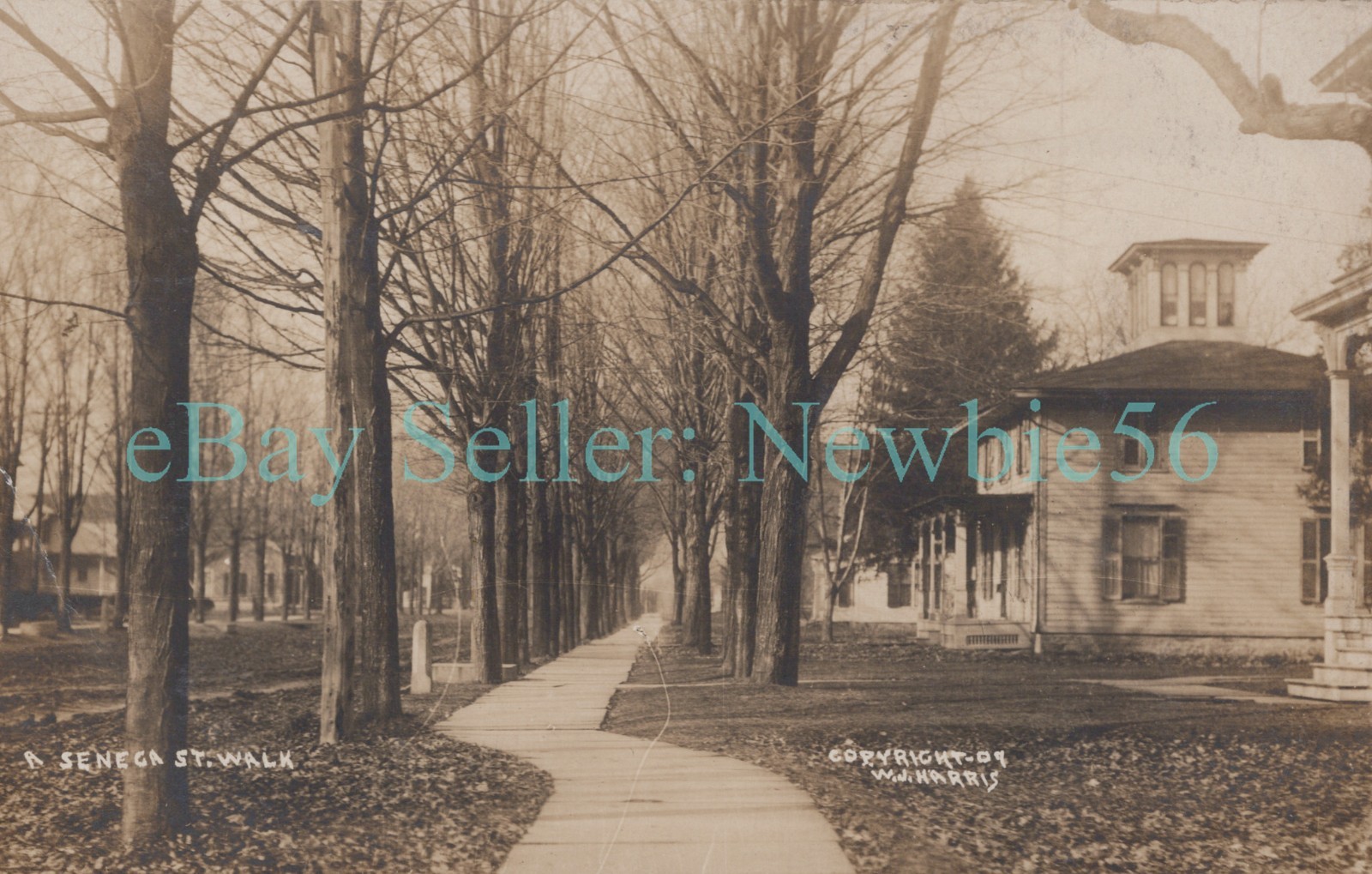 Penn Yan NY - HOUSES ON SENECA STREET - W.J. Harris RPPC Postcard Penn Yan NY - HOUSES ON SENECA STREET - W.J. Harris RPPC Postcard