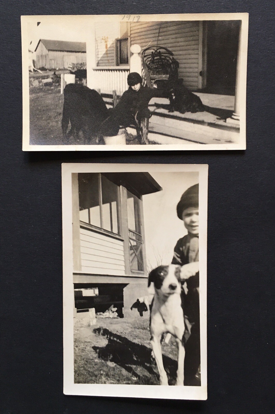 Lot of 2 Photographs 1917 & 1925 Children with Dogs Black & White Photos Lot of 2 Photographs 1917 & 1925 Children with Dogs Black & White Photos