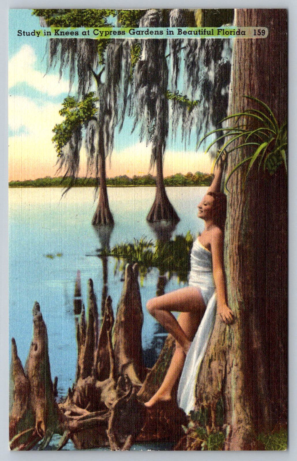 c1940s Cypress Gardens Study Knees Beautiful Florida Postcard c1940s Cypress Gardens Study Knees Beautiful Florida Postcard