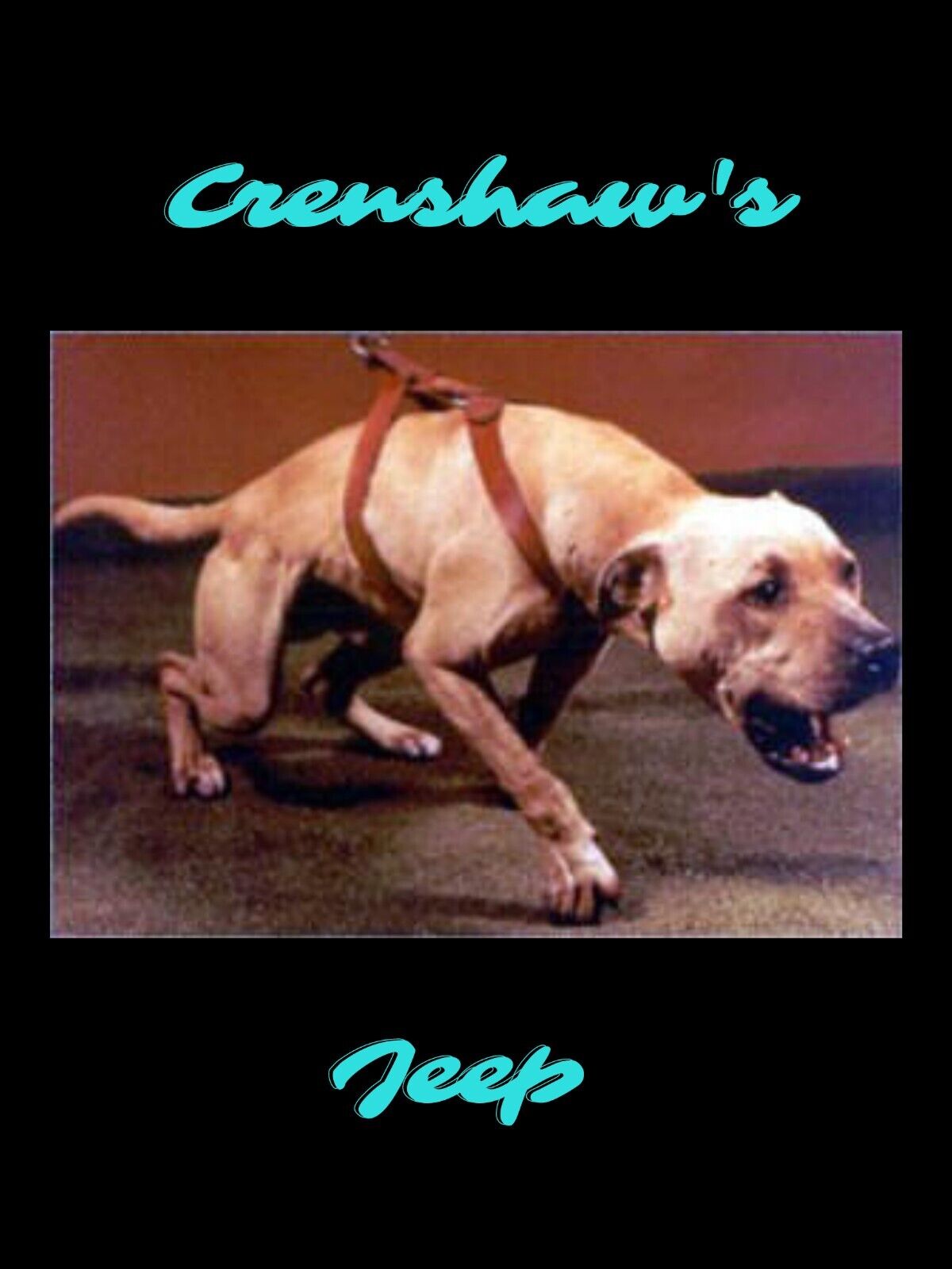 Crenshaw Jeep American Pit Bull Terrier Sticker