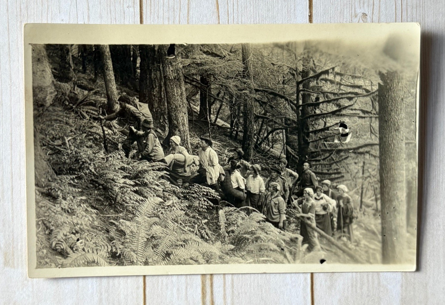 Antique RPPC People Hiking To Lost Creek Falls, Coos County Oregon